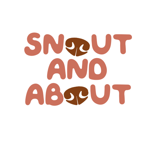 Snout and About | Scentwork and Engagement Dog Training