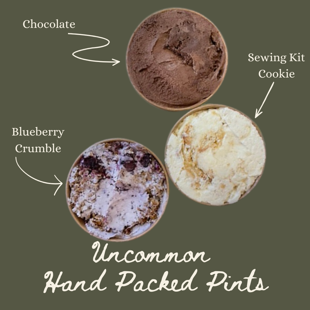 3 packed pints: blueberry crumble, sewing kit cookie and chocolate