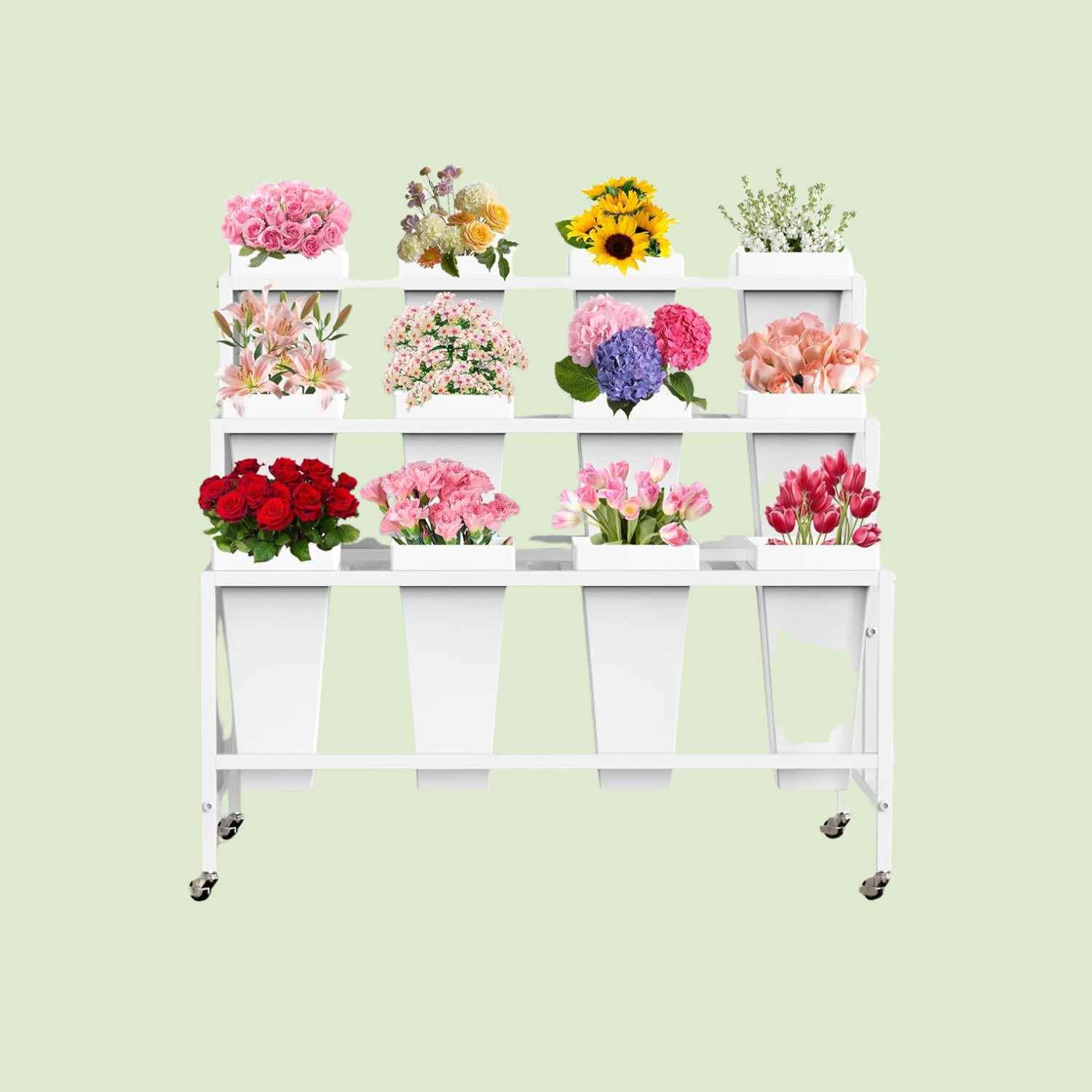 Untitled design (60).png