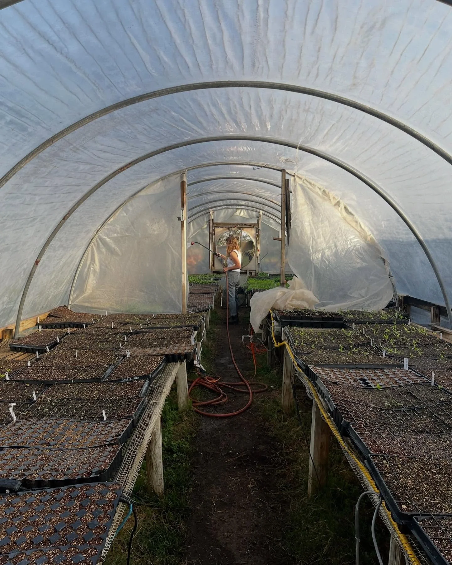 Hi y’all! We’re hiring!
Patchwork Farm is looking for a few folks to join the crew for the fall season, beginning in mid to late August. If you are interested in farming in a worker-centered space, love to move and sweat and get muddy, a