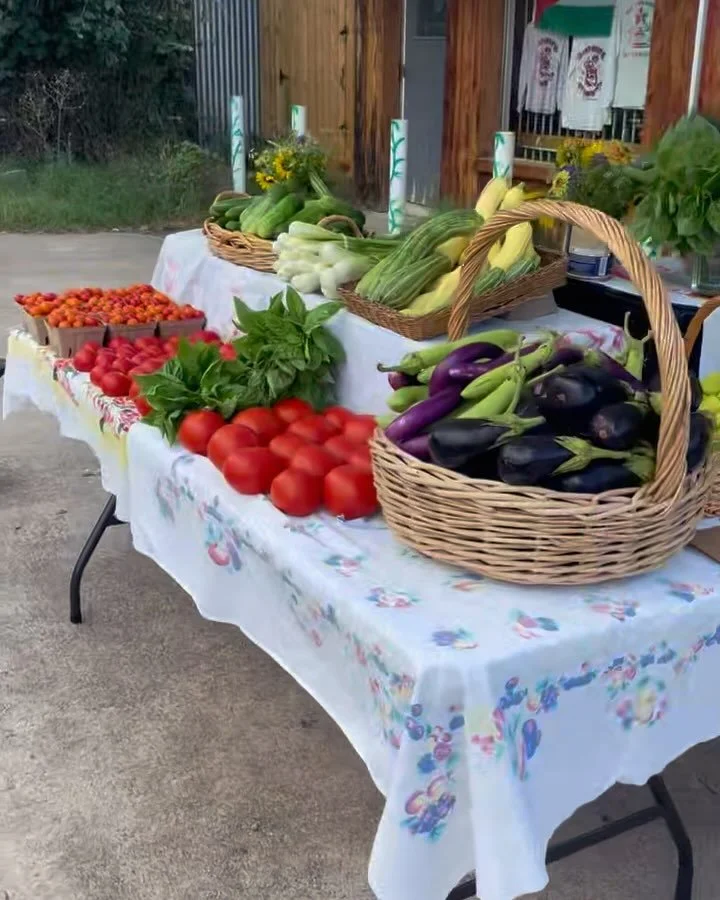 So grateful to share this abundance with y’all and SO excited that pepper season has arrived!!! 🌶️😎🌶️ (also pictured: a cucumber because wow do we ever have a lot of cucumbers) 
We have reached the unbelievably sweaty part of the season but