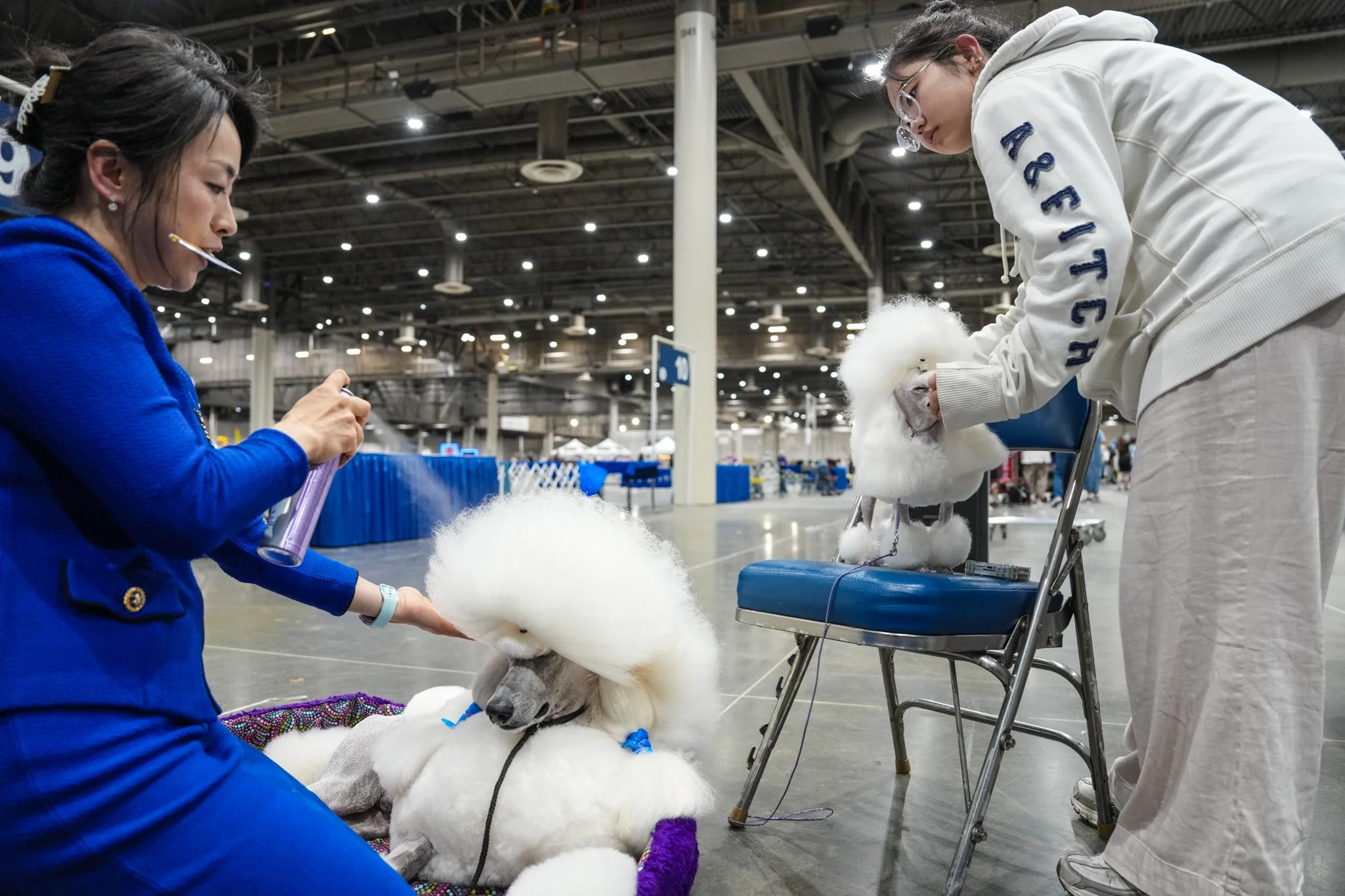 Two women and a dog at an indoor event. One woman with dark hair in a bun wearing a blue jacket holds a grooming tool, while the other woman with glasses and a white hoodie leans over a fluffy white dog on a grooming table. The dog appears to be a Sa