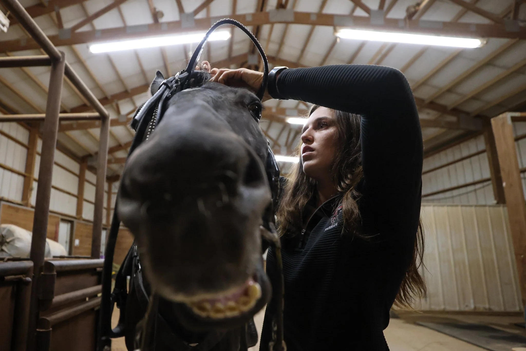 Ellie Brown, Texas Tech's 63rd Masked Rider, saddles up Centennial Champion prior to the daily warmup routines that the mascot duo undertakes before each gameday at the Tech Equestrian Center in Lubbock, Texas, Aug. 30, 2024. “He's always looking to 