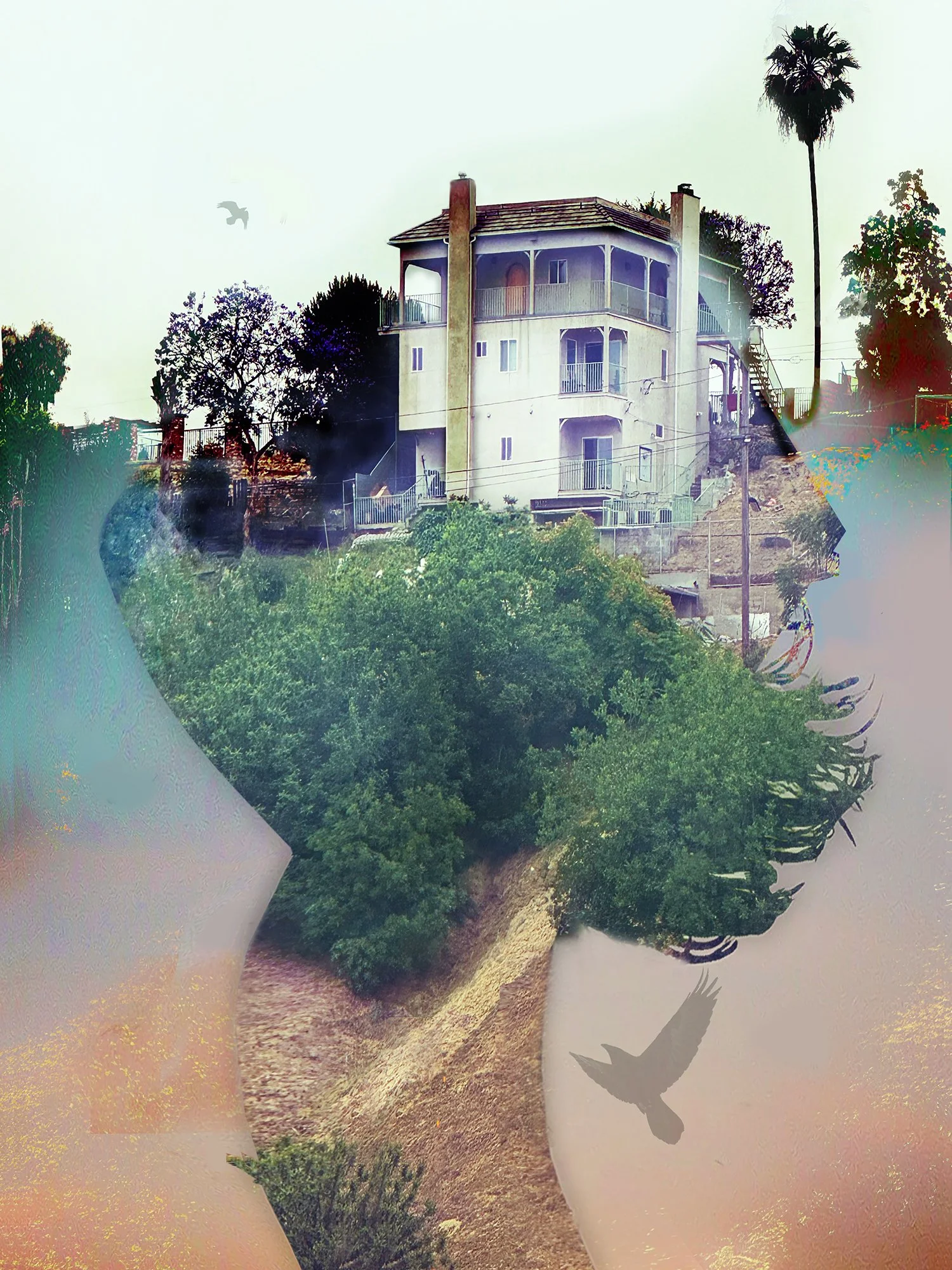 Montecito Heights 3