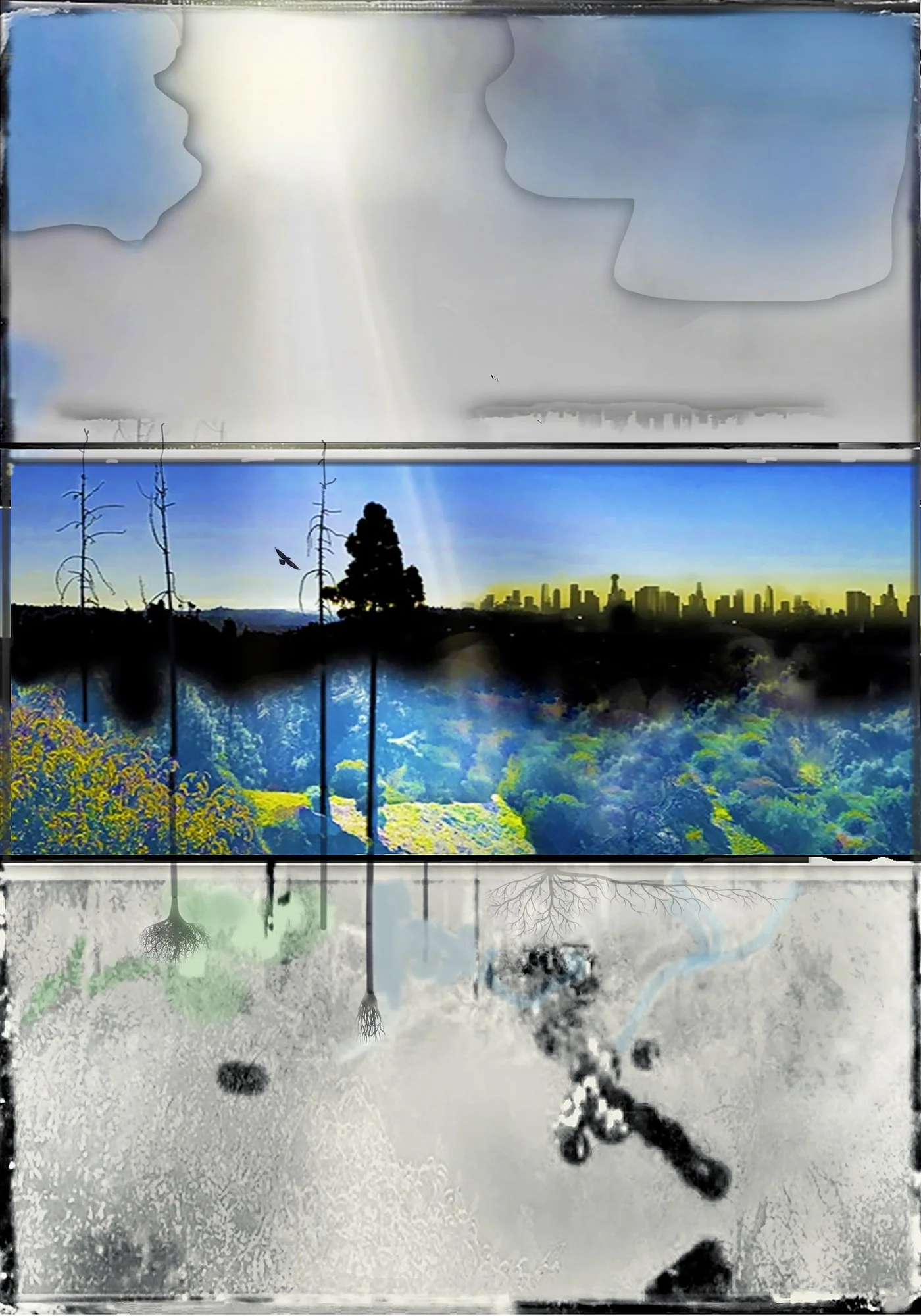 The Overstory  18