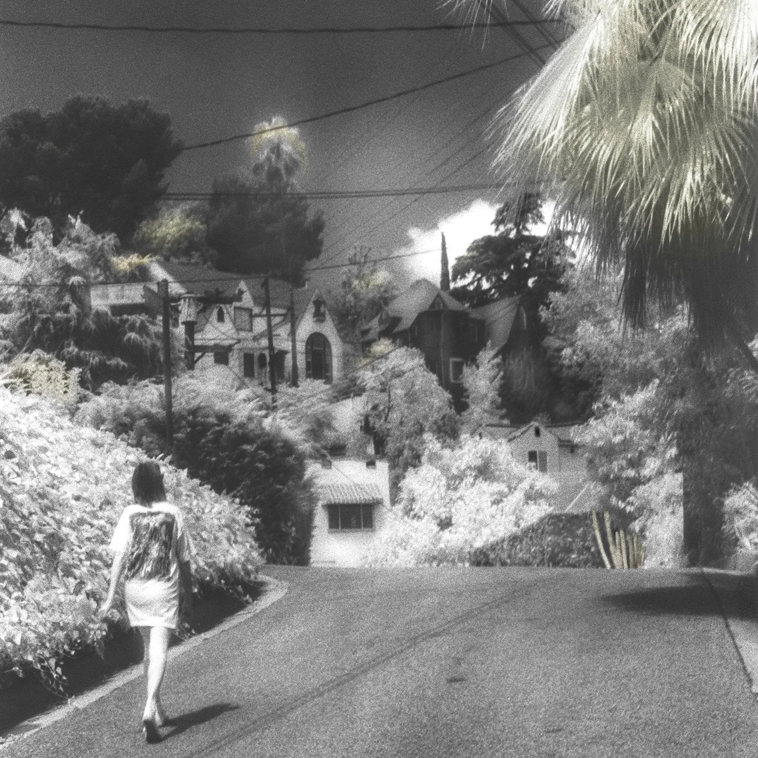 Scapes_DartmouthDrive.jpg