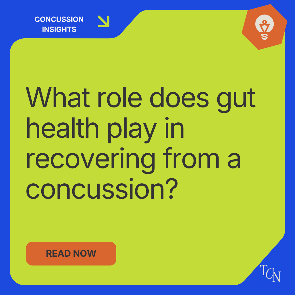 What role does gut health play in recovering from a concussion?