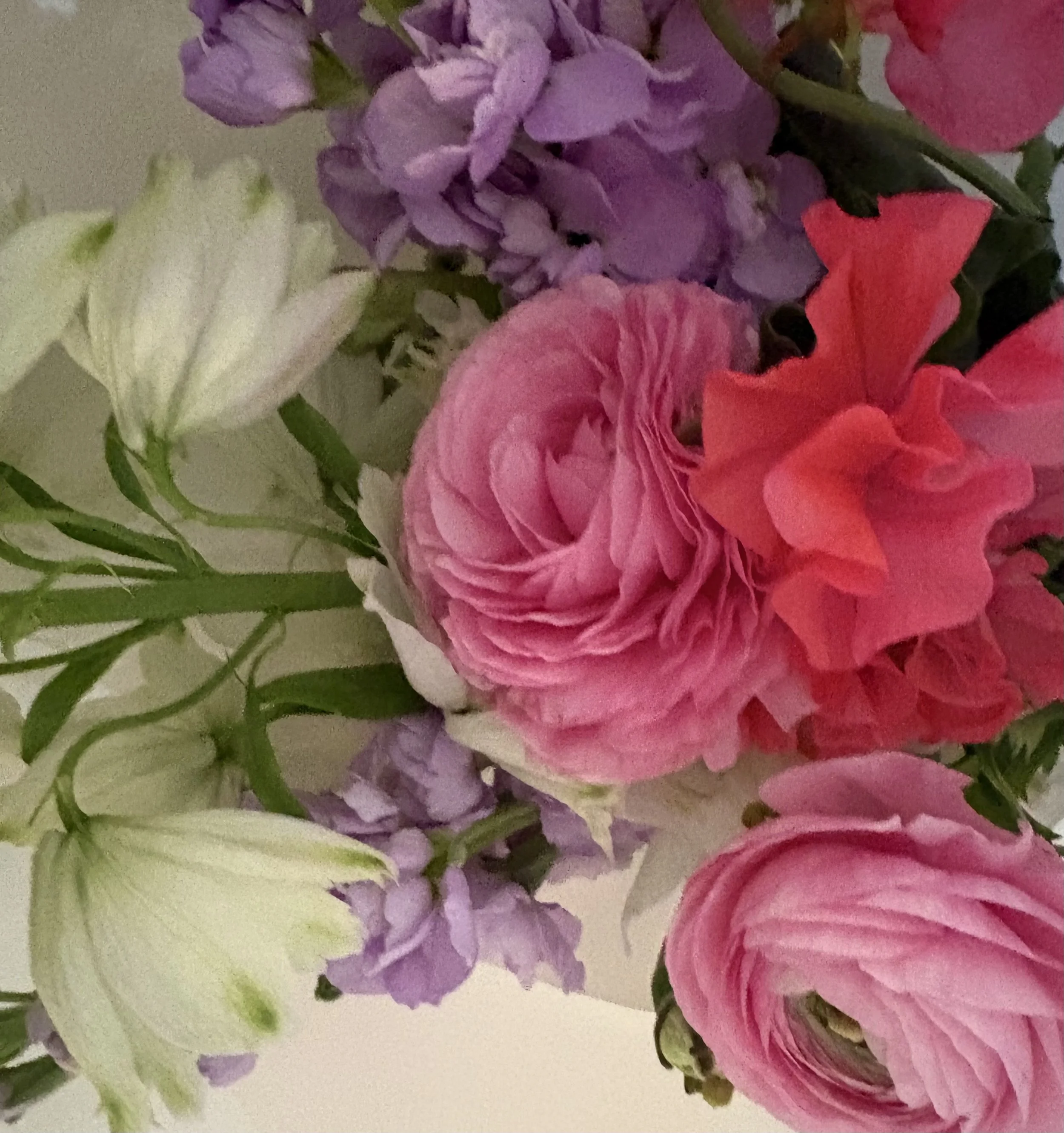 COLOUR POSY