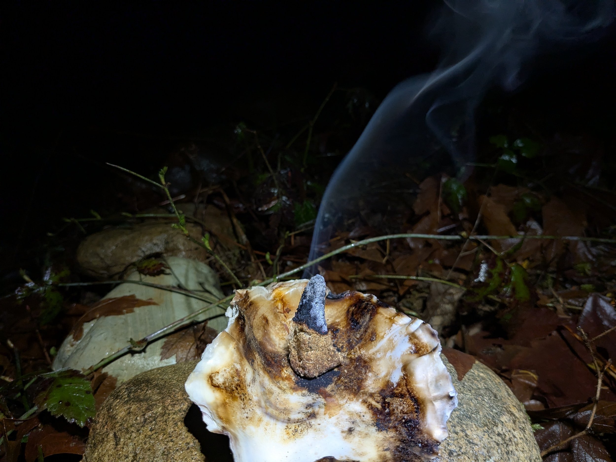 Burning Mountain Peak incense in honour of the new moon.