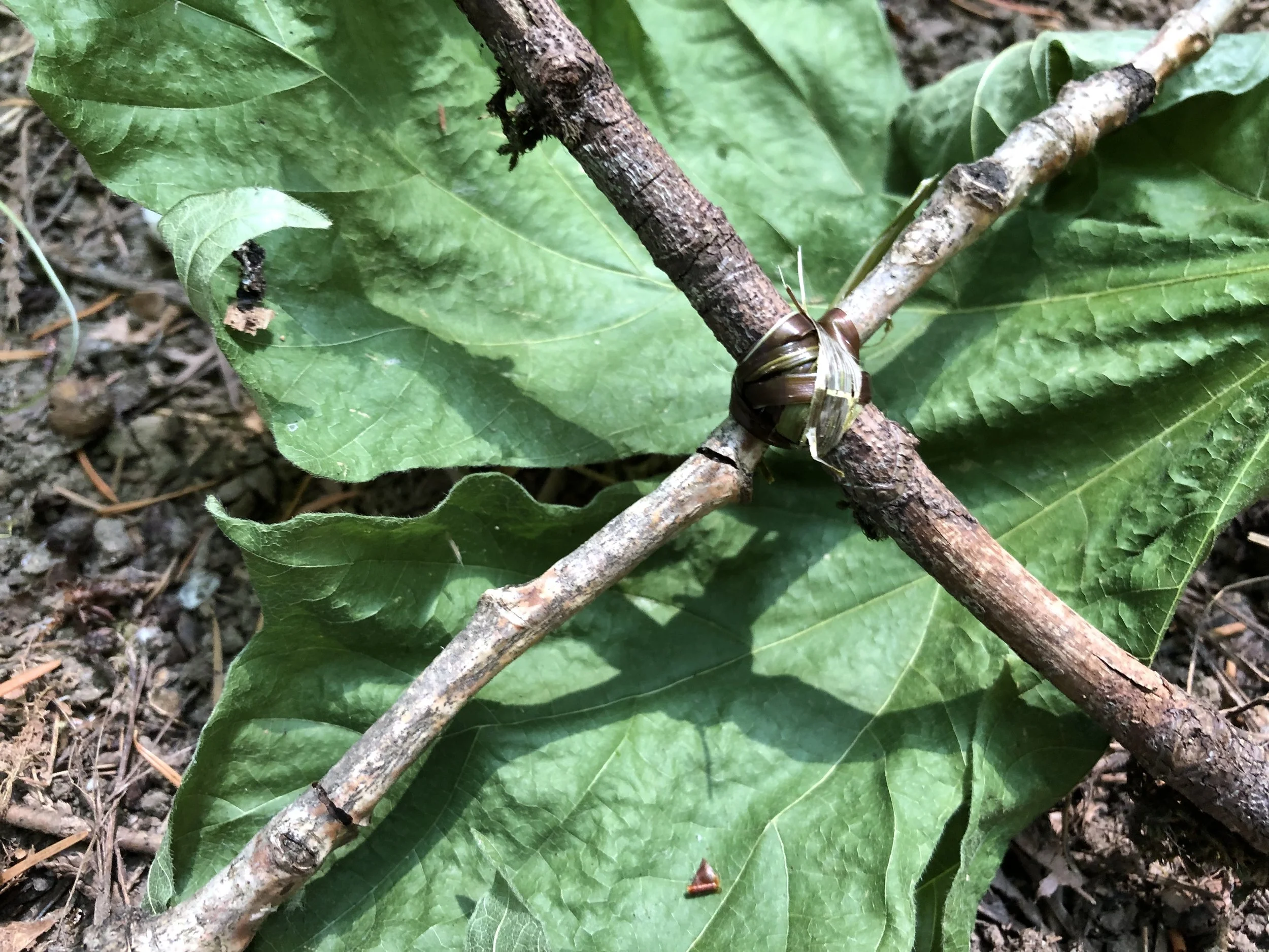 Yalena at the Crossroads part 1