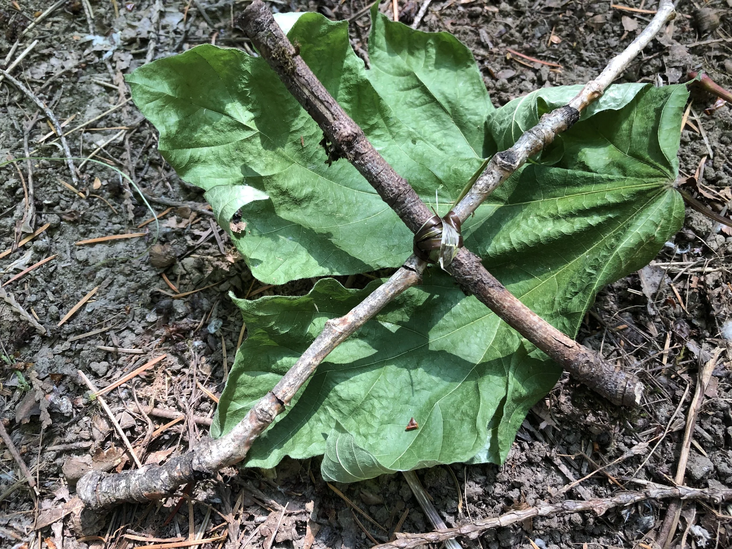 Yalena at the Crossroads part 2