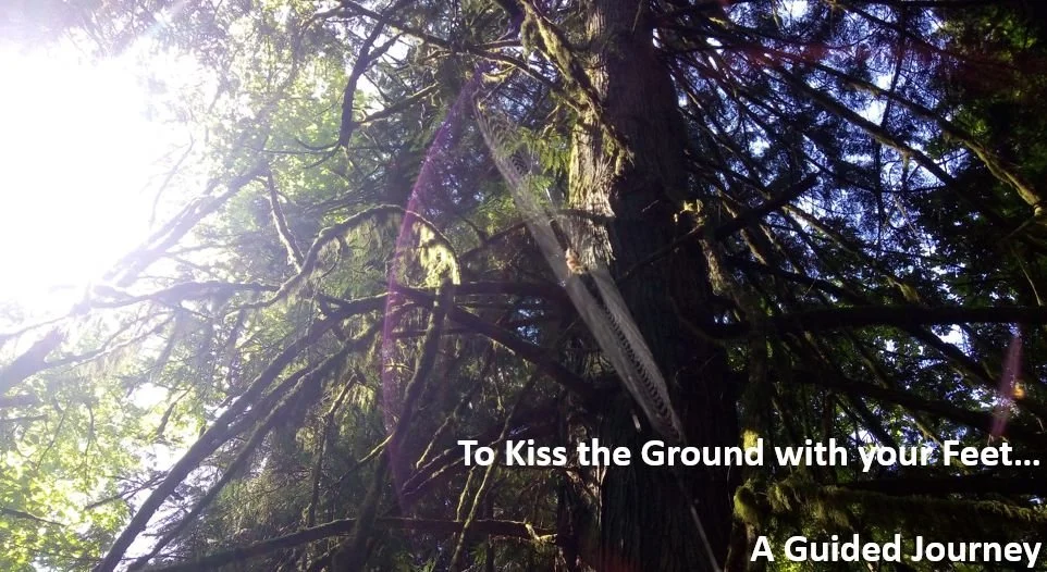 To Kiss the Ground with your Feet…