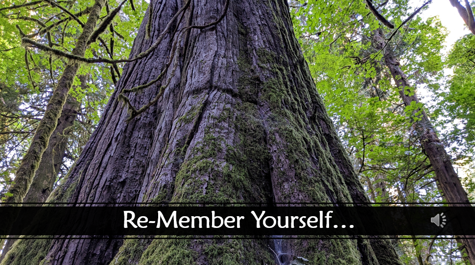 Re-member Yourself…