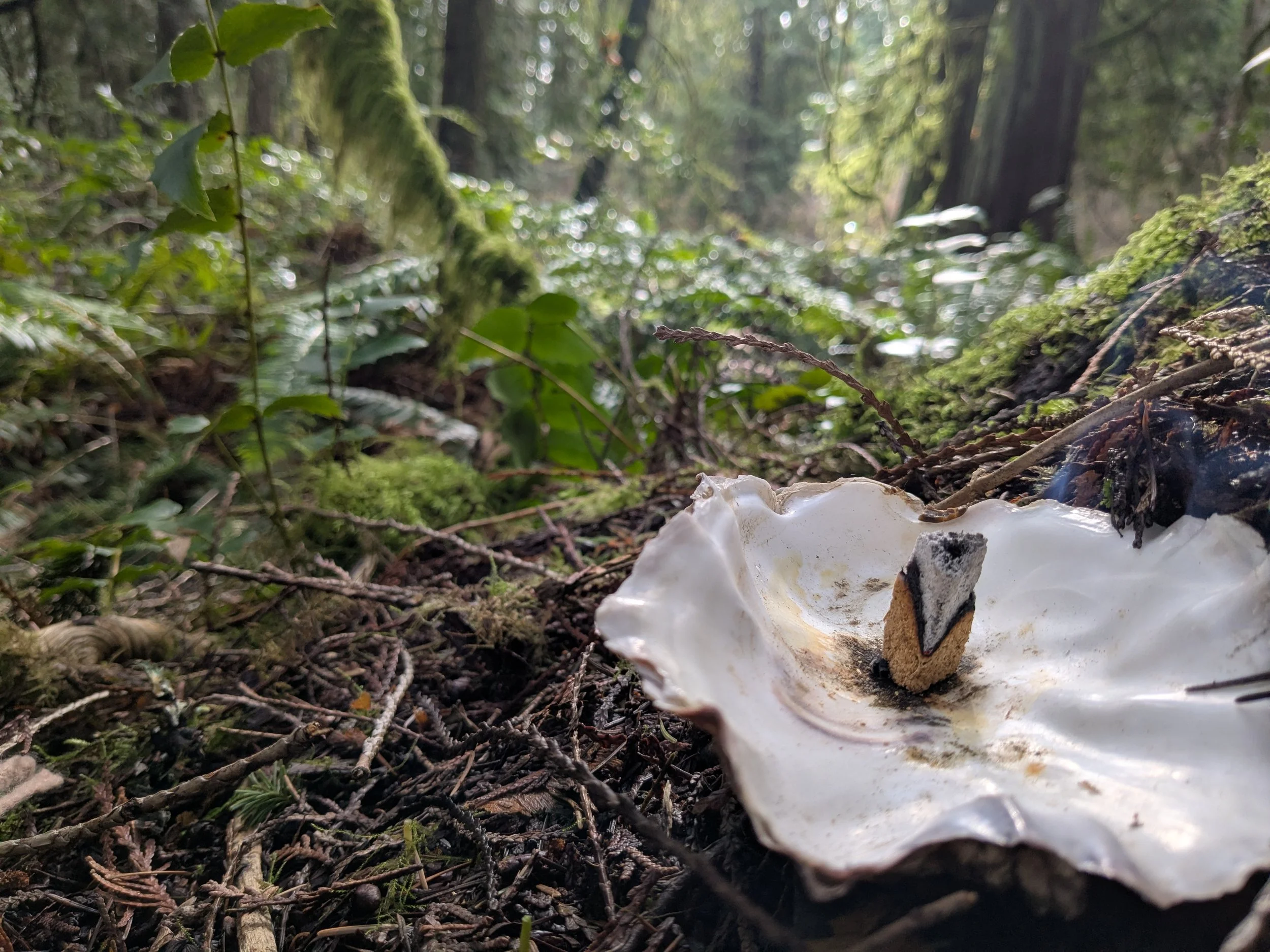 Making a smoke offering at the site of Ma Honeysuckle.
