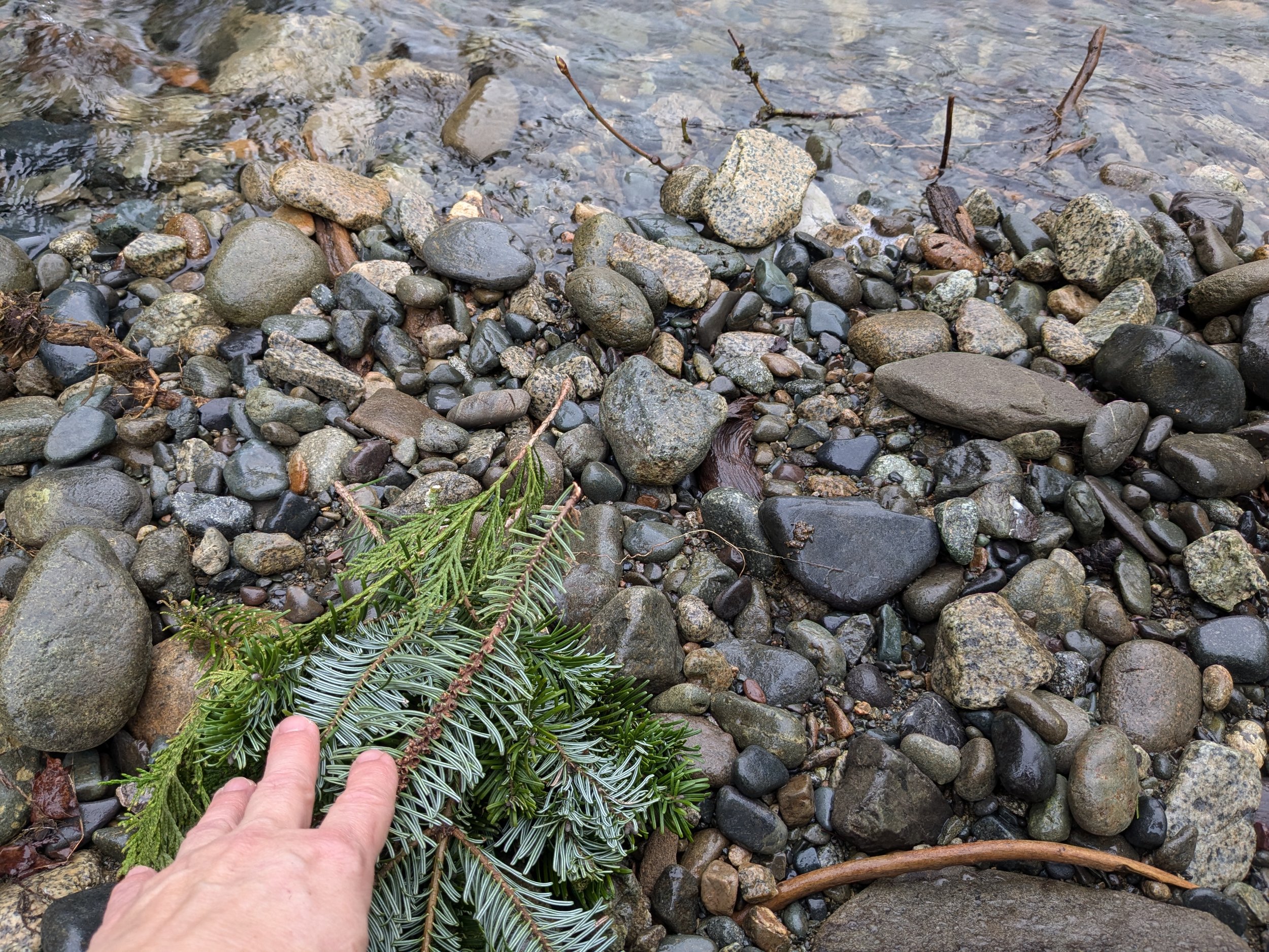 Gratitude for forest-floor materials which will become incense.