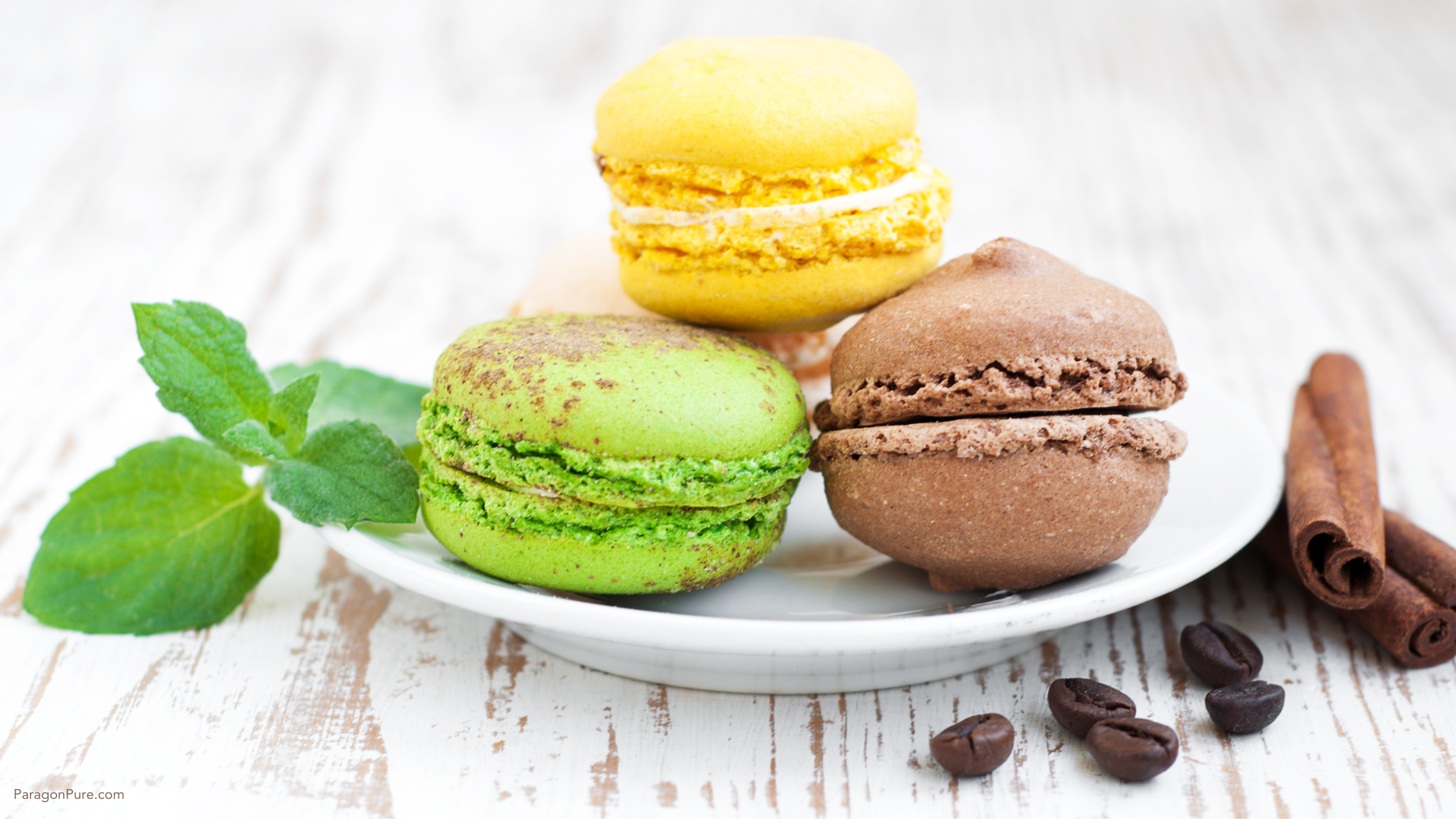 Paragon Pure - Plant-Based Fats & Clean-Label Ingredients