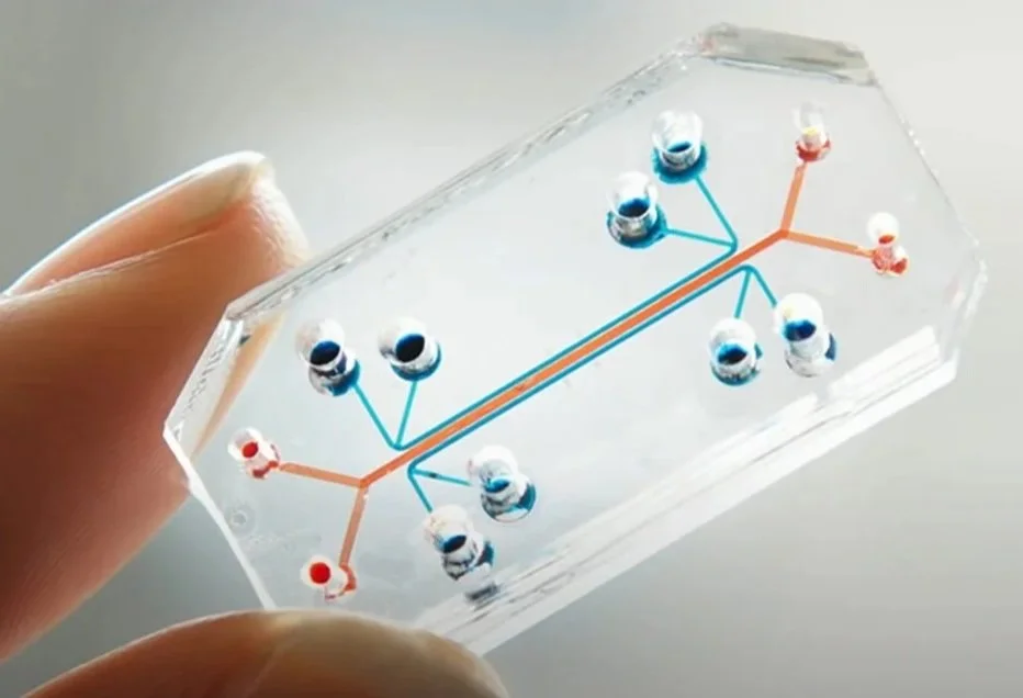 Emulate - Human Organ-on-Chips for Drug Discovery & Development