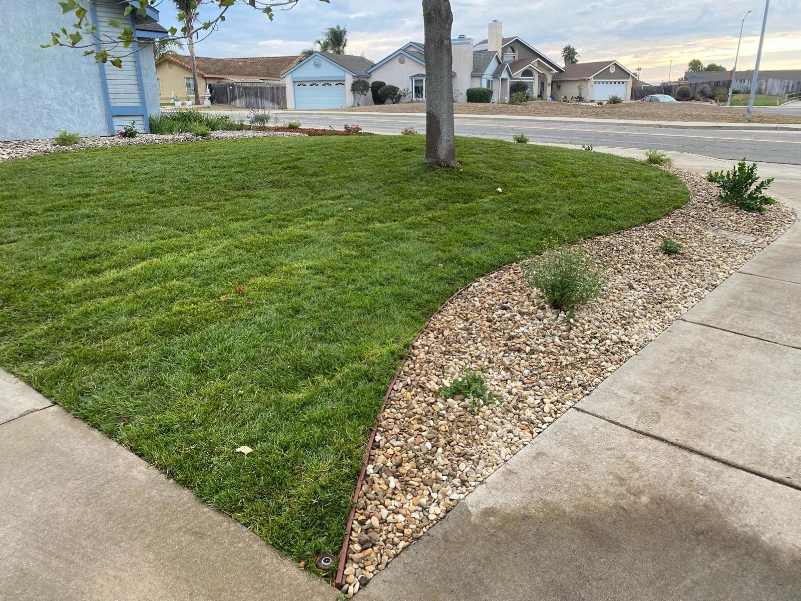 2a9d9074-f1cb-449b-baf7-496605bd6425 2.JPG