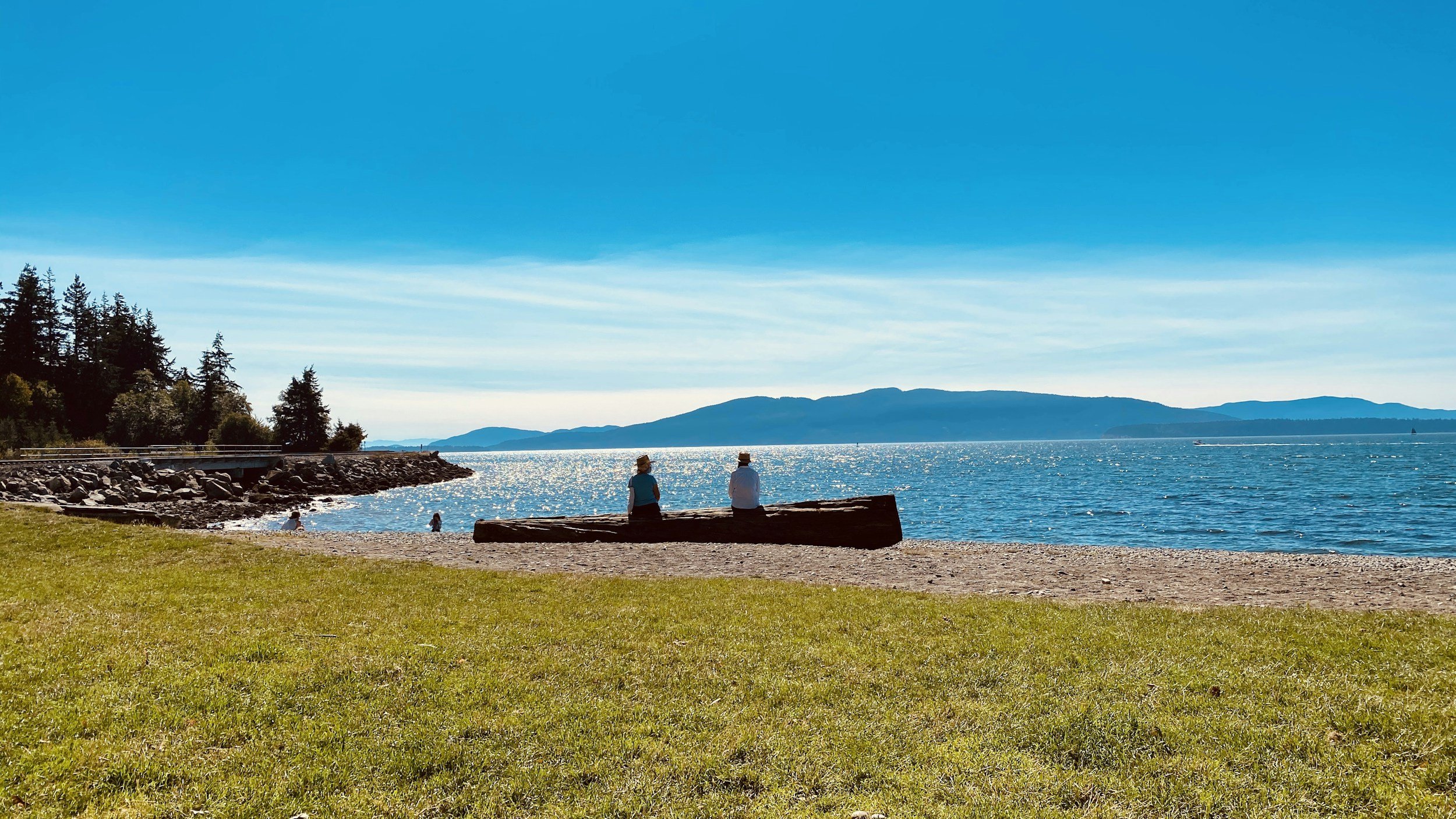 Two people sitting on a large log on a sandy beach, facing the water and mountains in the distance, with a green grassy foreground and a bright blue sky.
