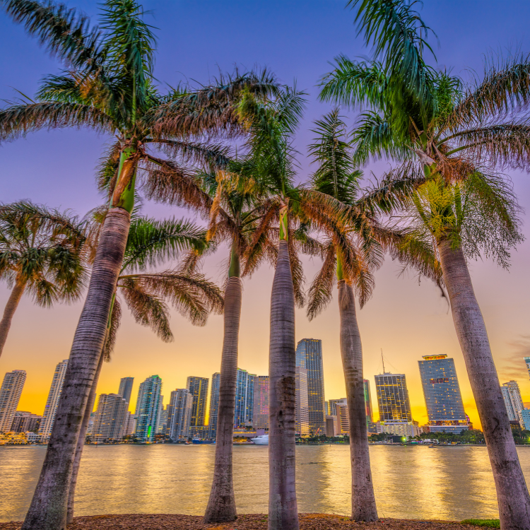 Miami.png