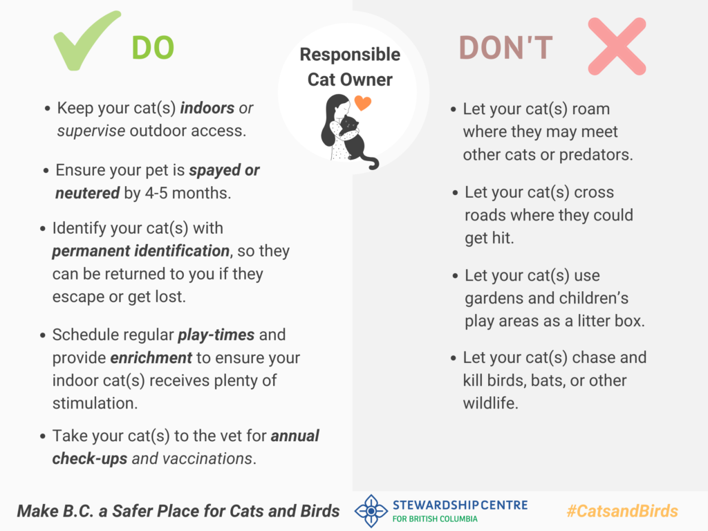Responsible Cat Ownership / Guardianship — Stewardship Centre for BC