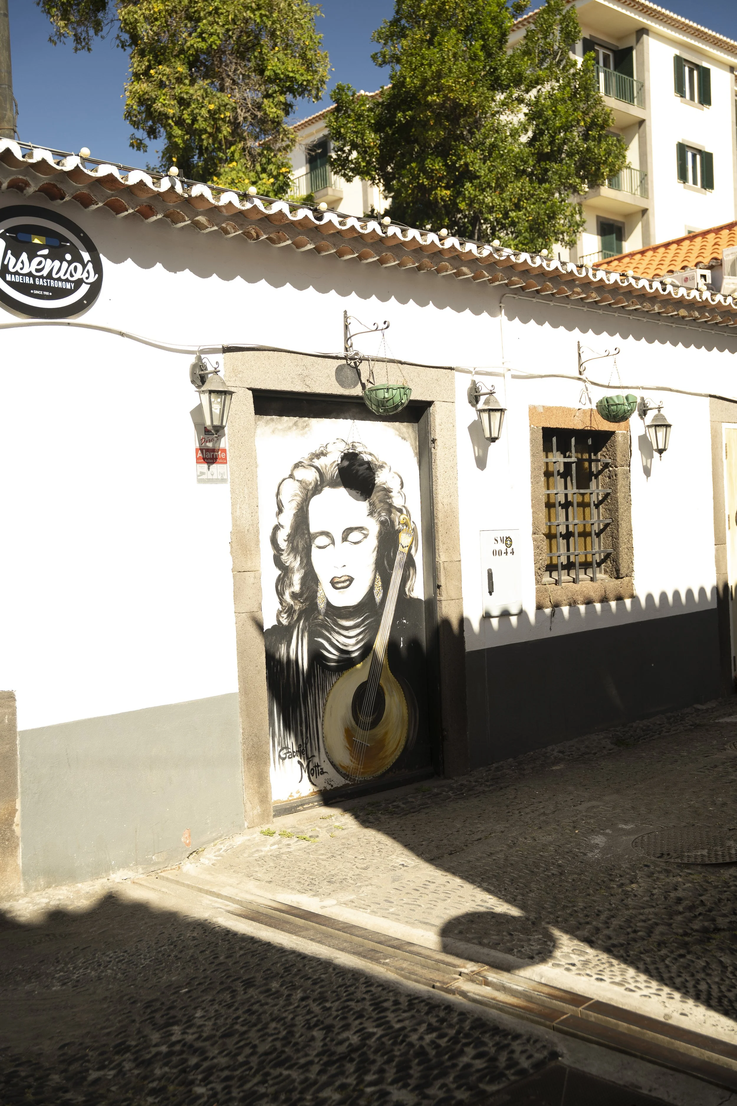 Madeira 2026-114.jpg