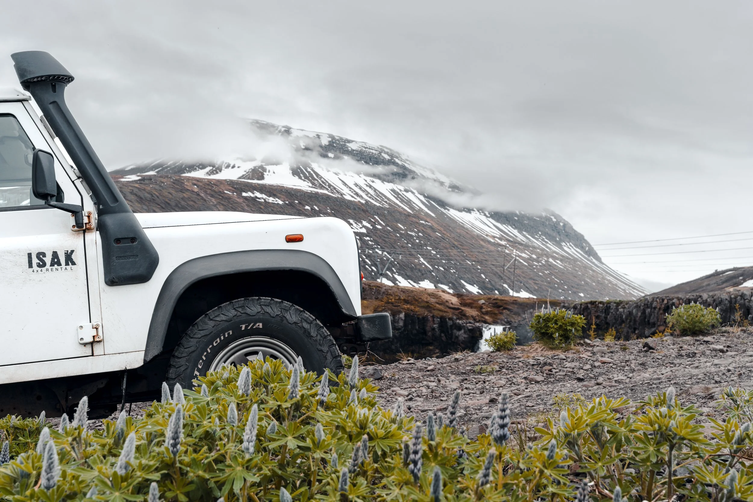 Island 2026-63.jpg