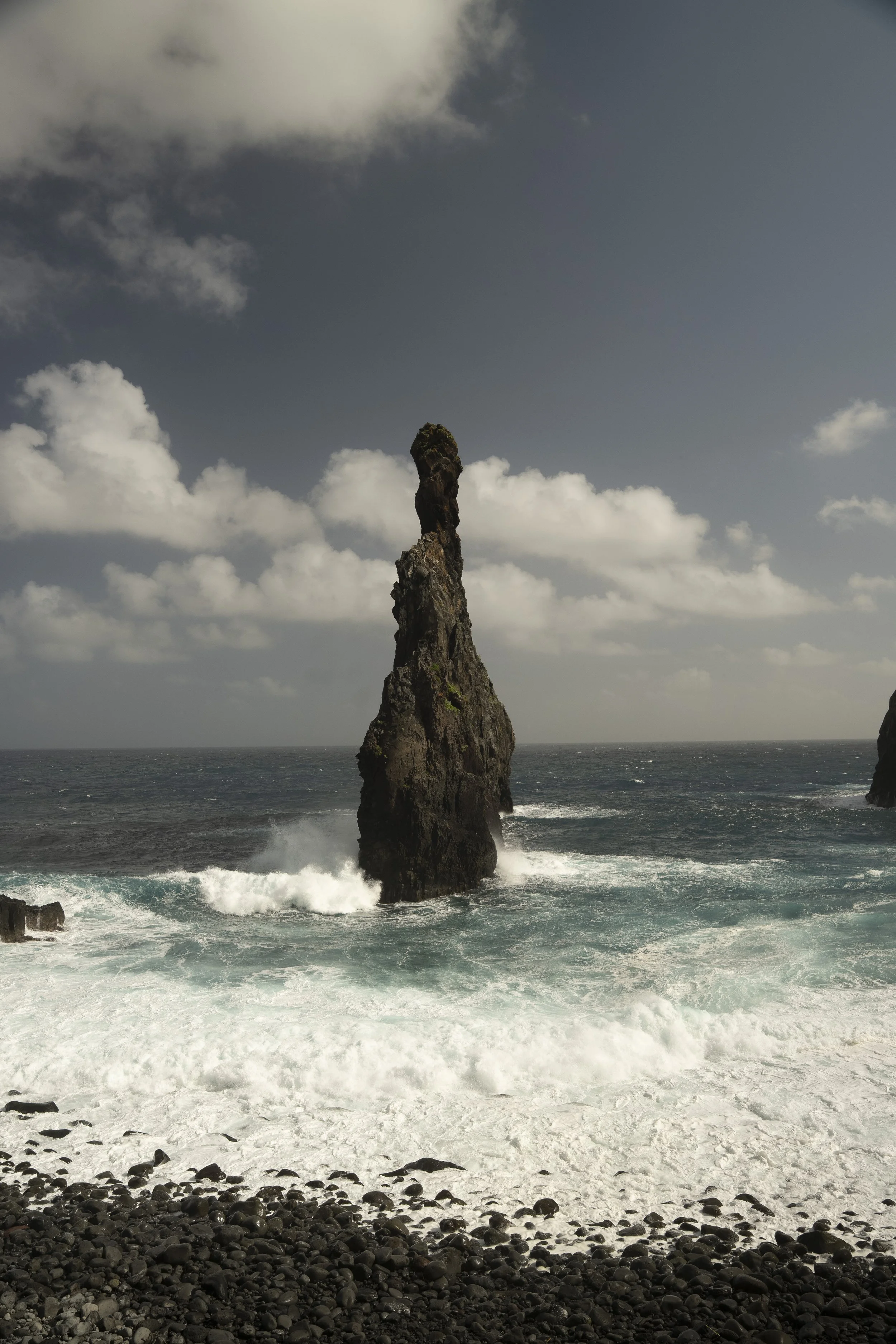 Madeira 2026-82.jpg
