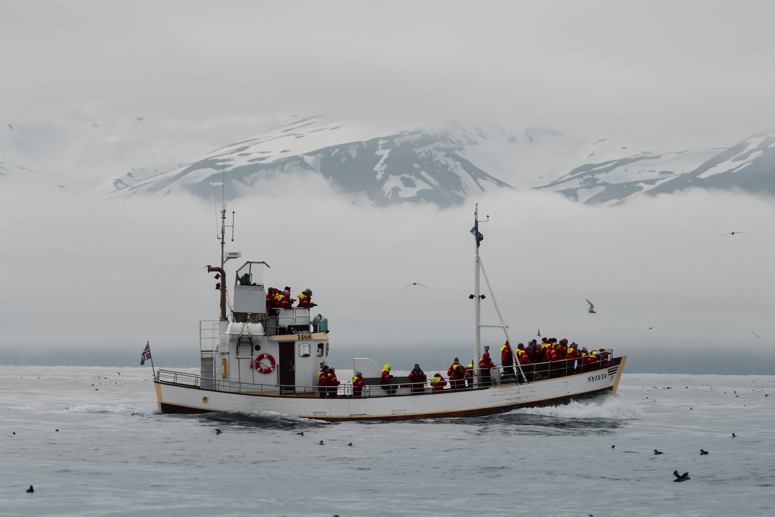 Island 2026-86.jpg