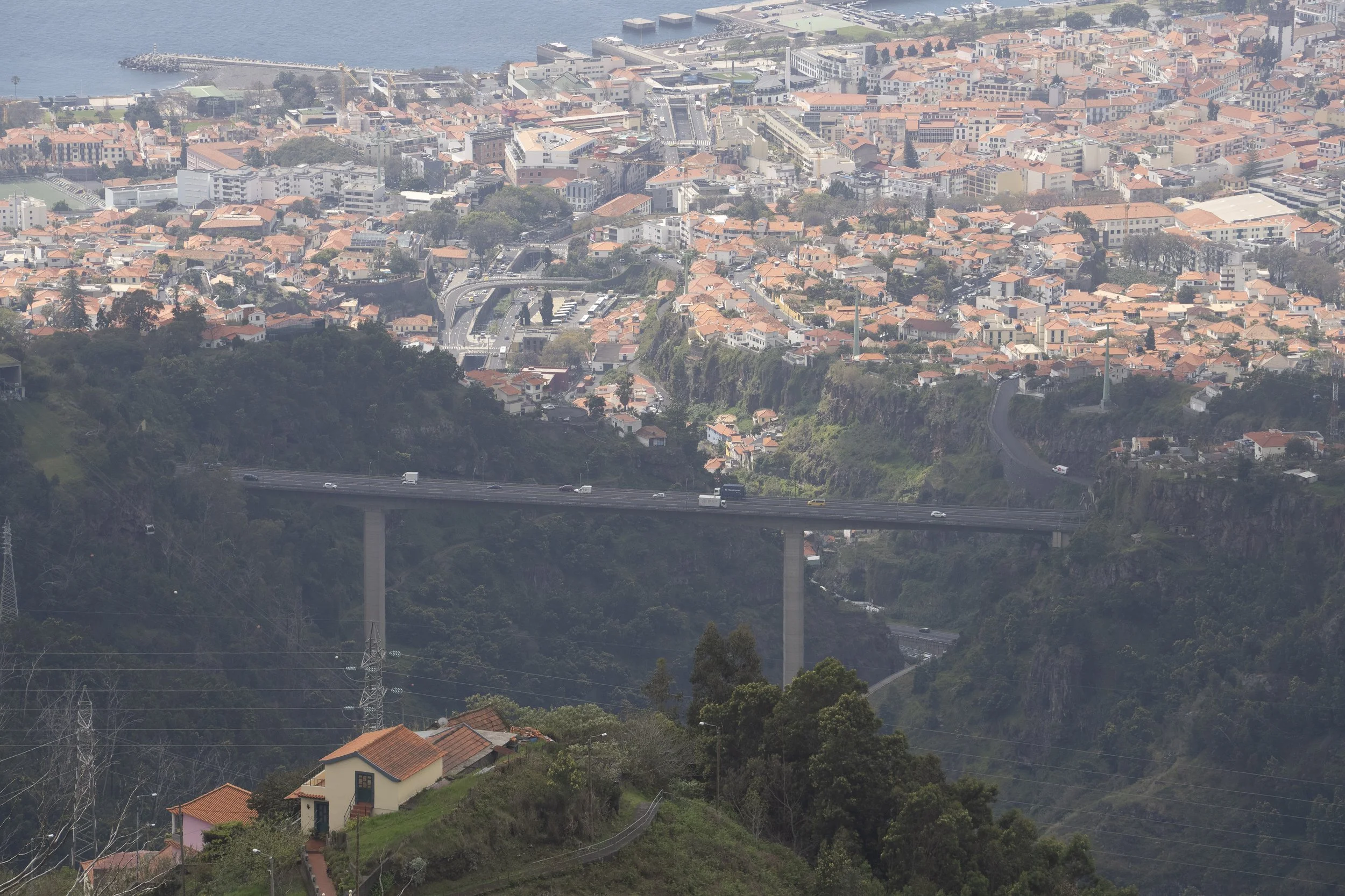Madeira 2026-25.jpg