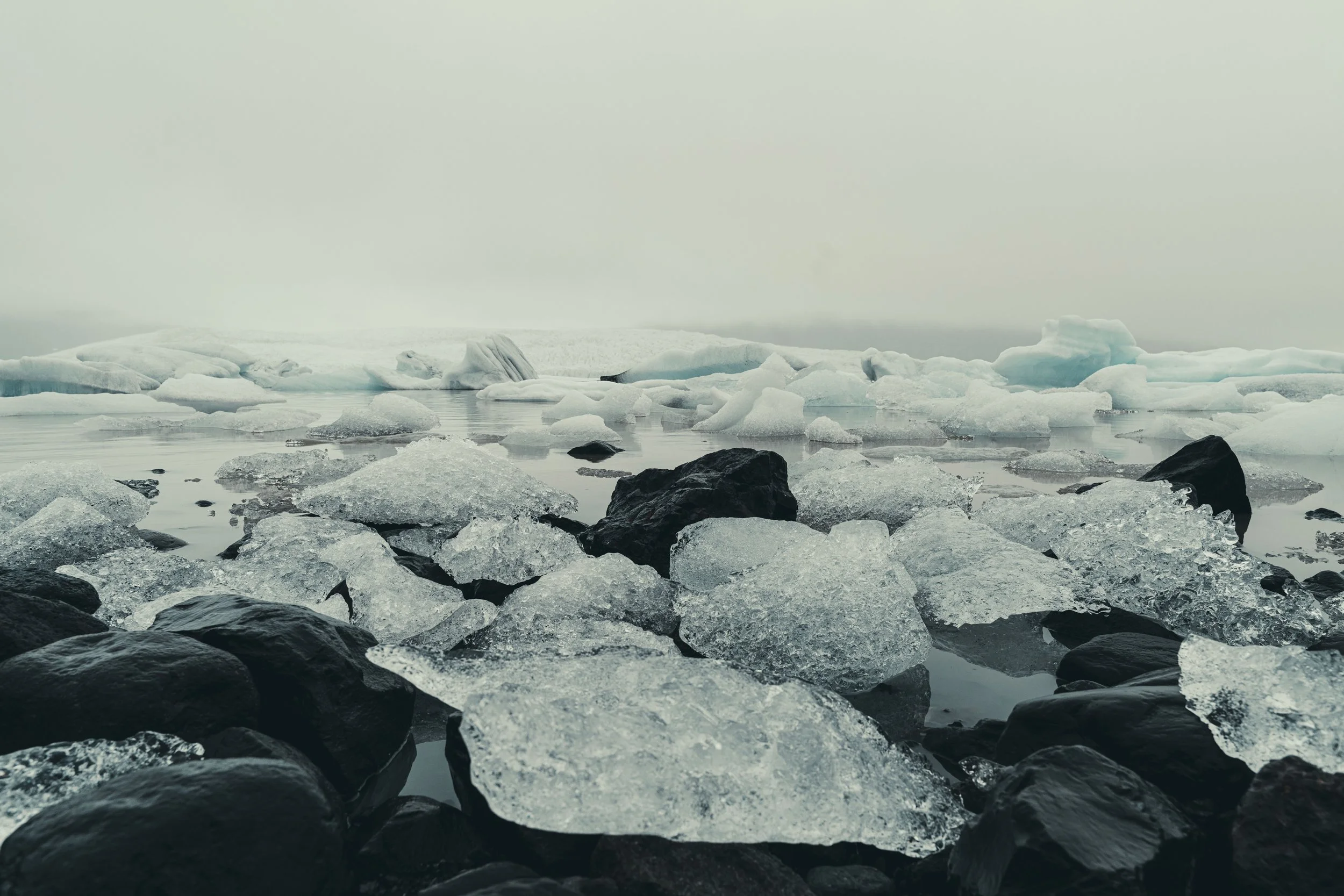Island 2026-53.jpg