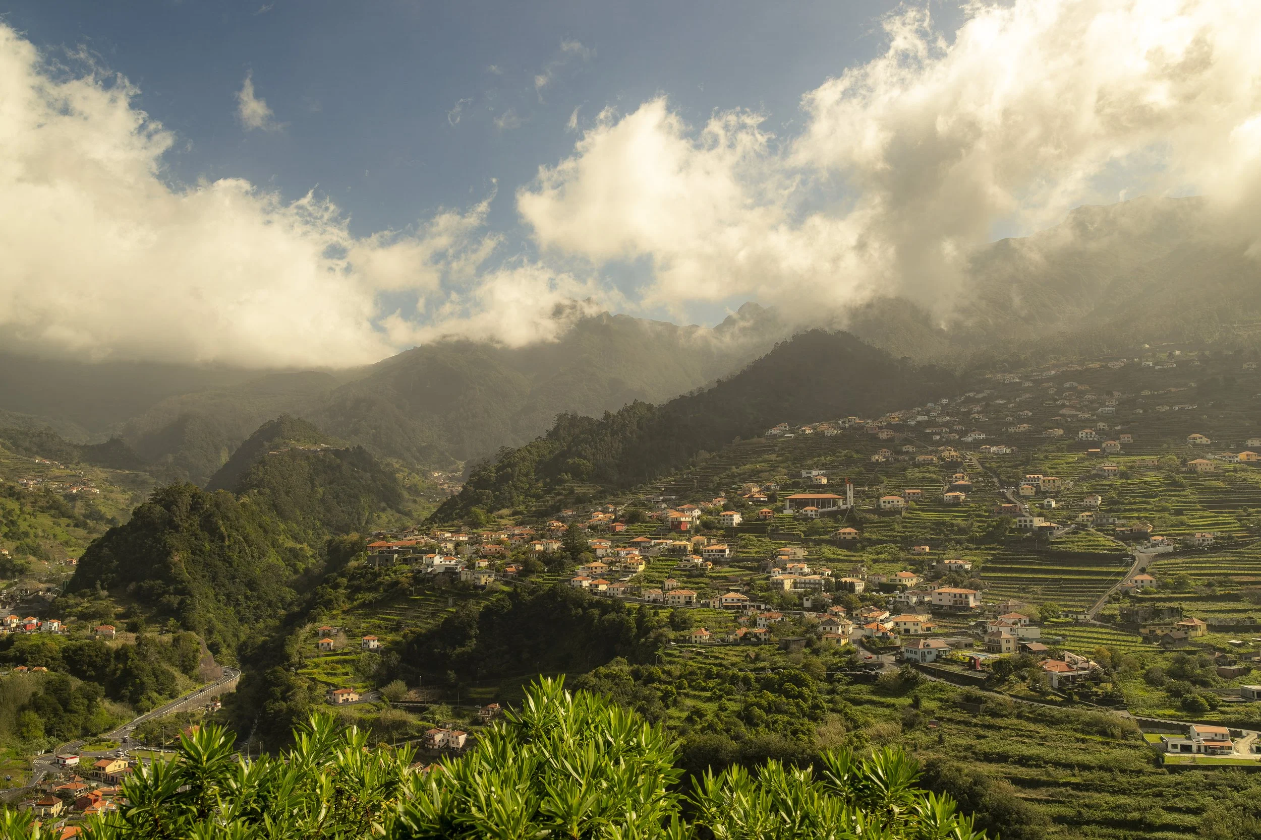 Madeira 2026-68.jpg