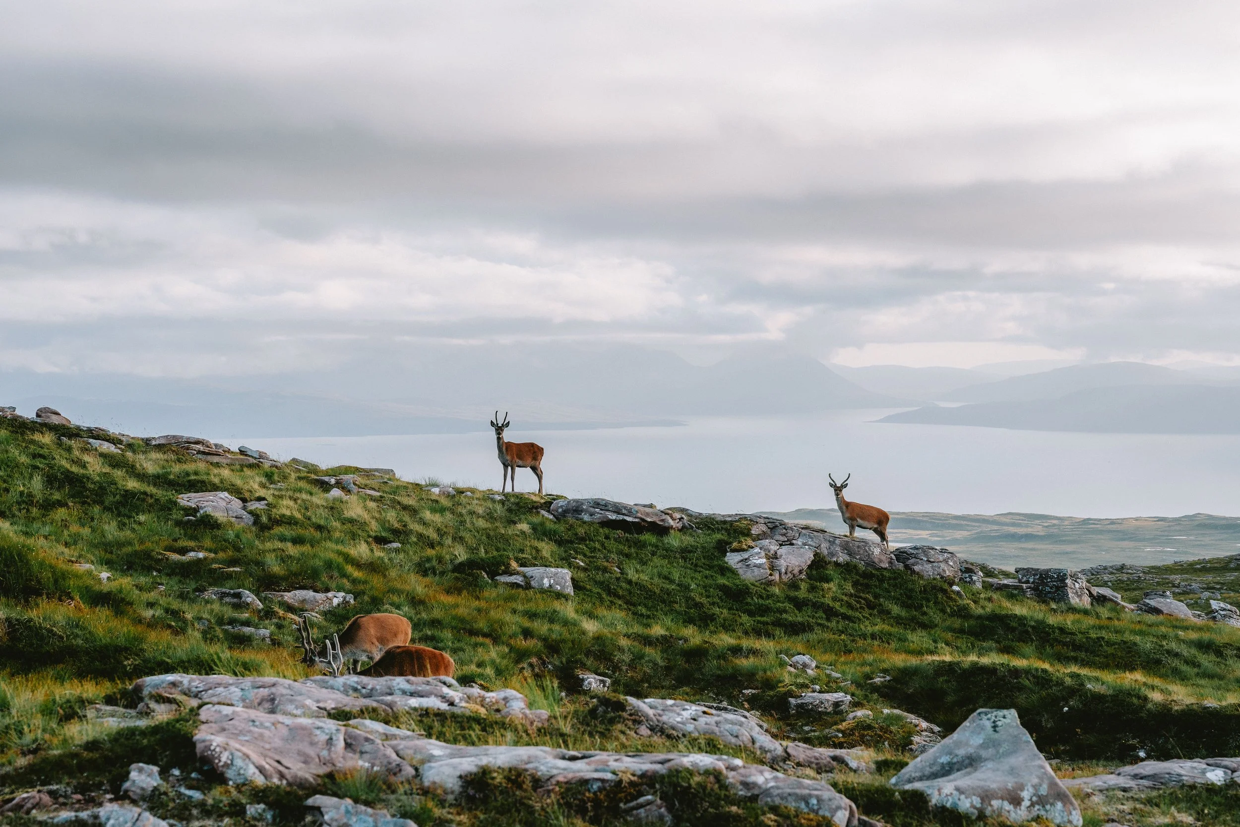 DSC05699.jpg
