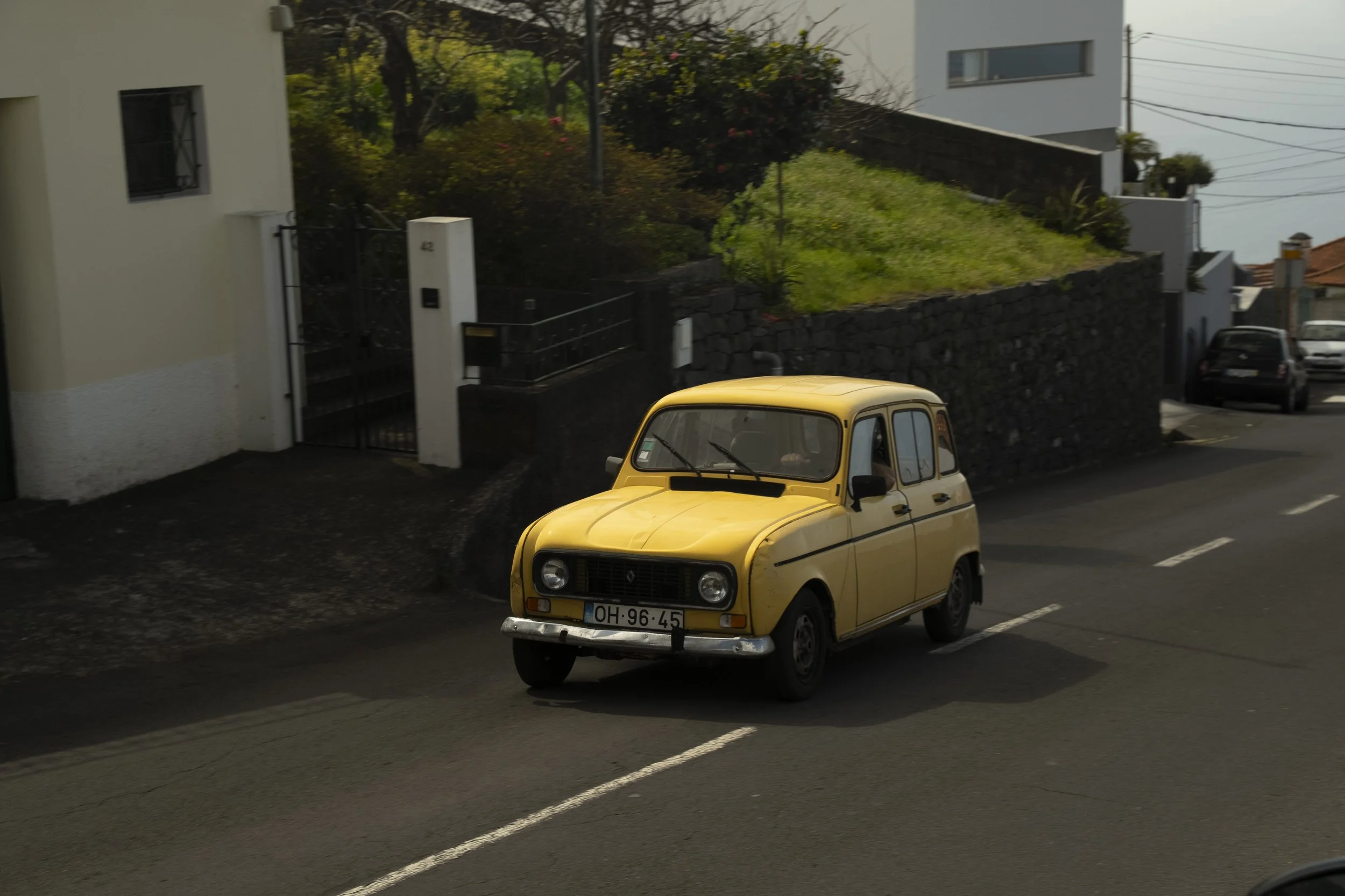 Madeira 2026-23.jpg