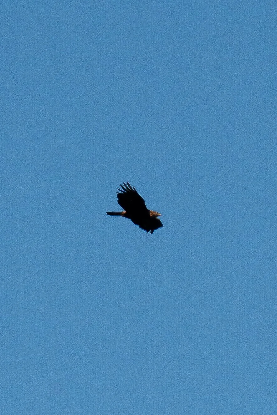 DSC05756.jpg