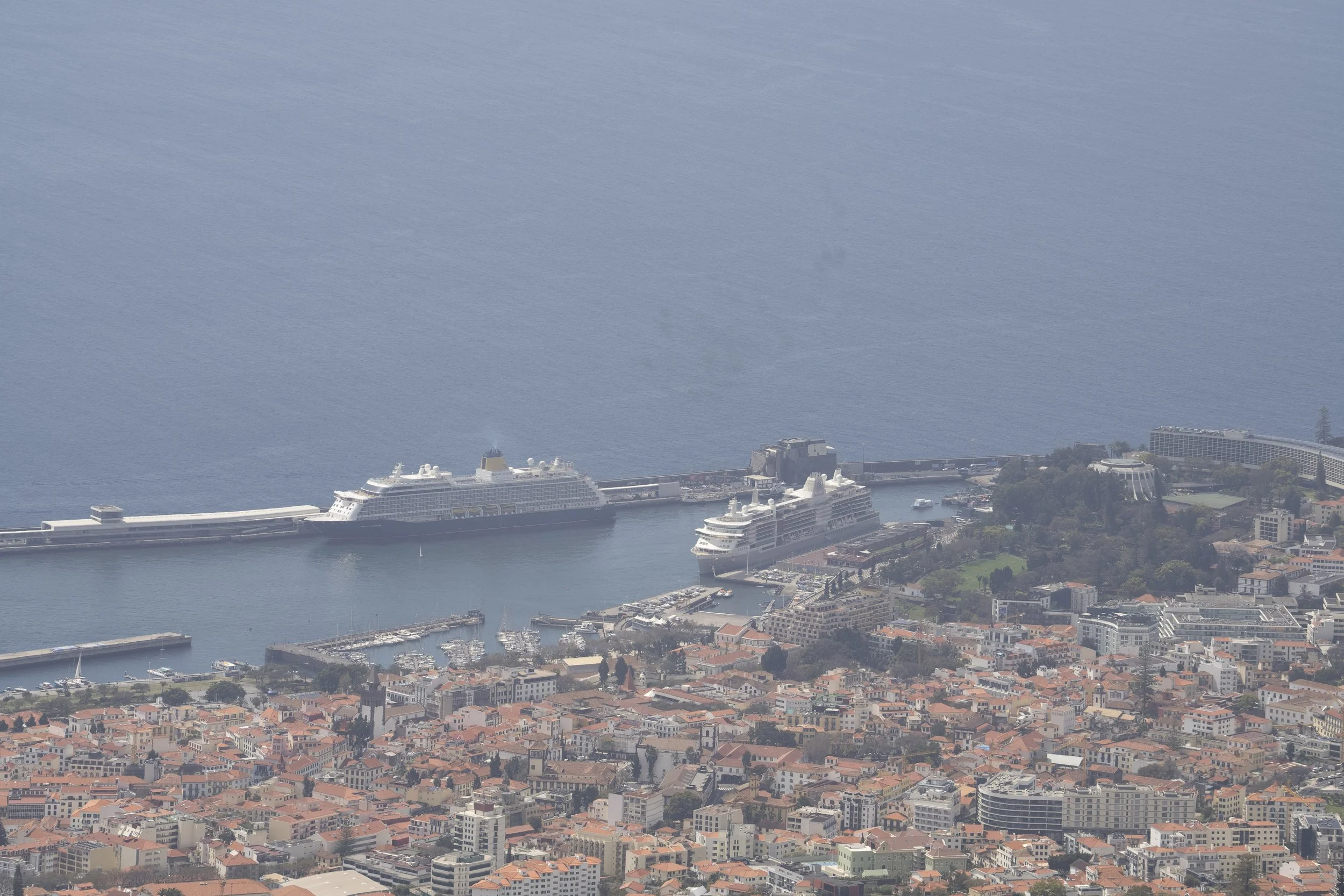 Madeira 2026-24.jpg
