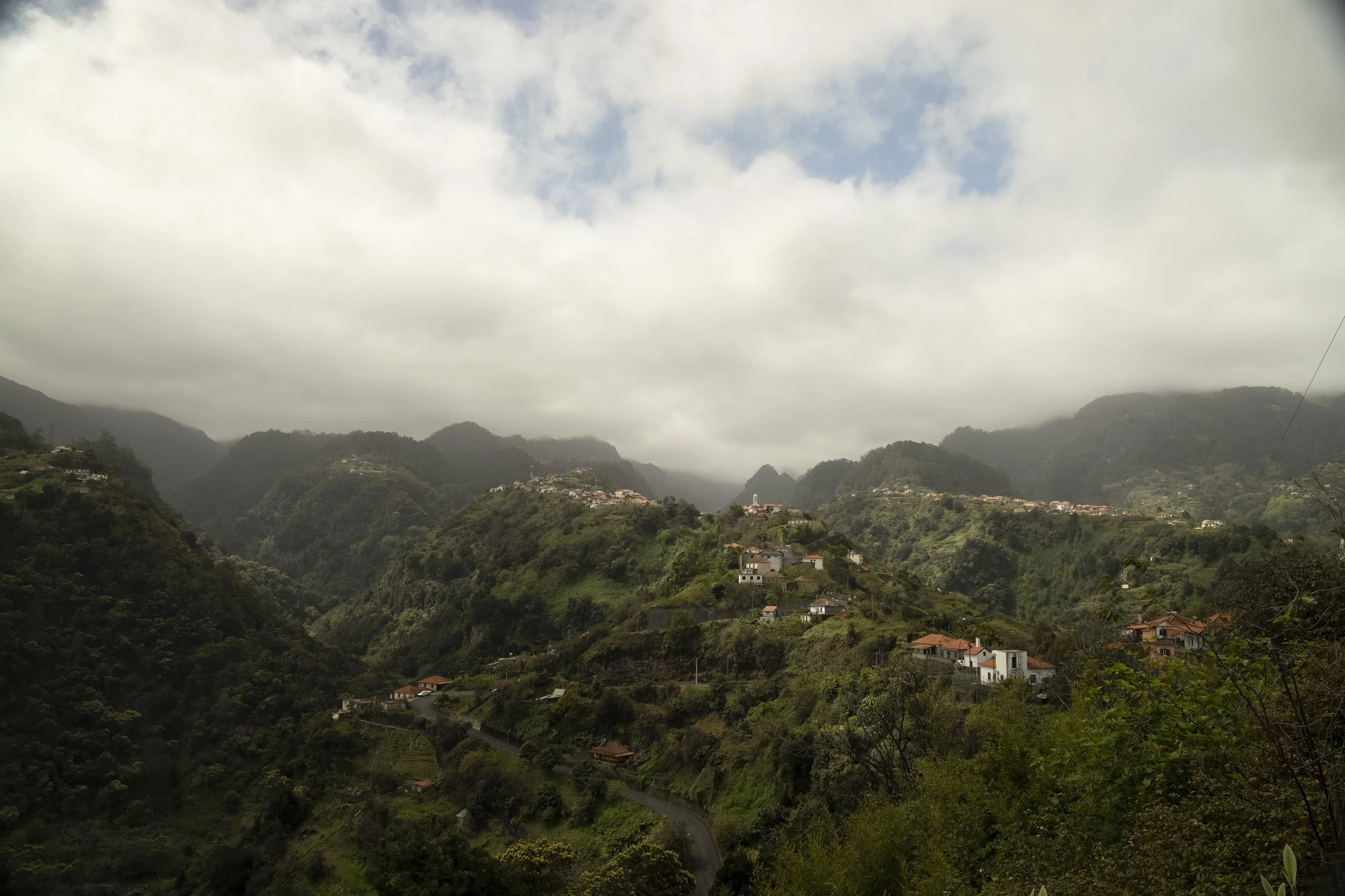 Madeira 2026-37.jpg