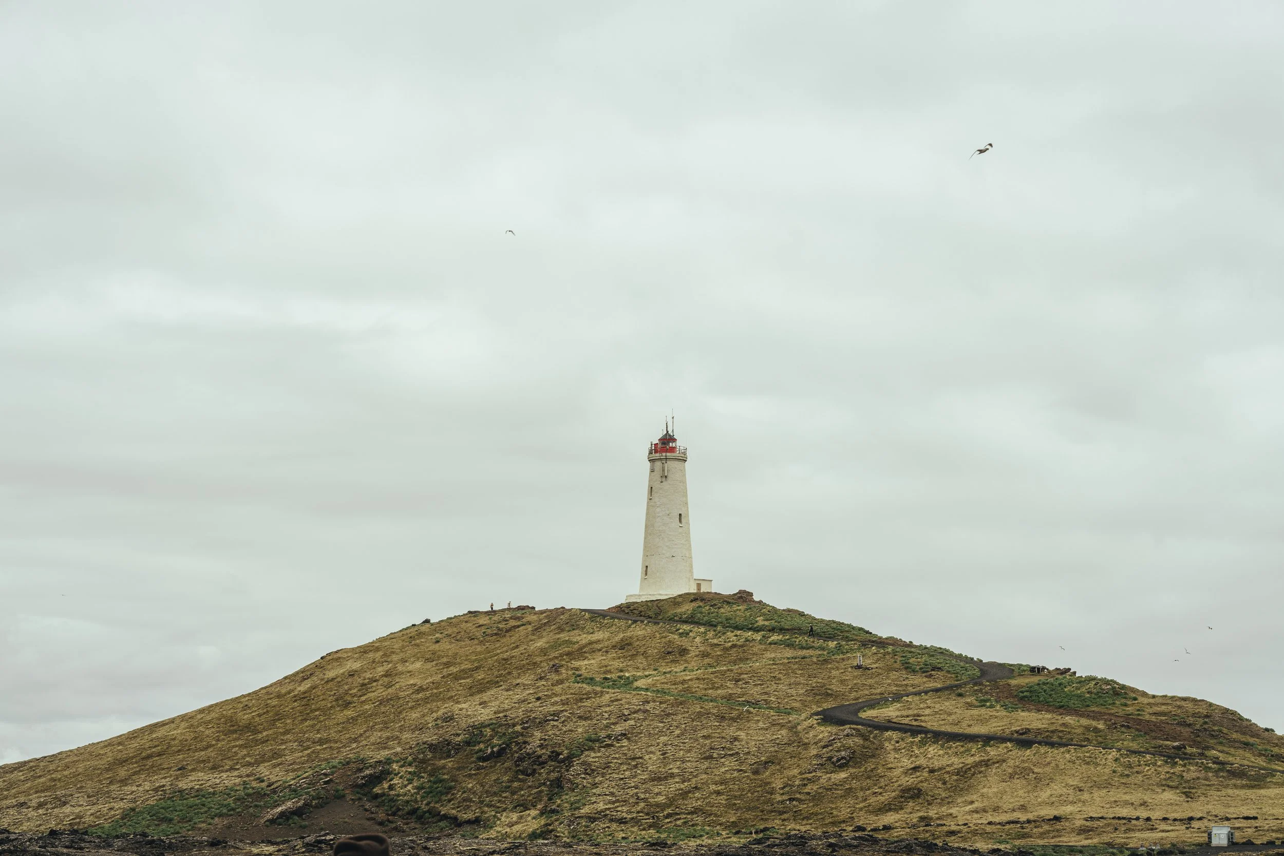 Island 2026-6.jpg