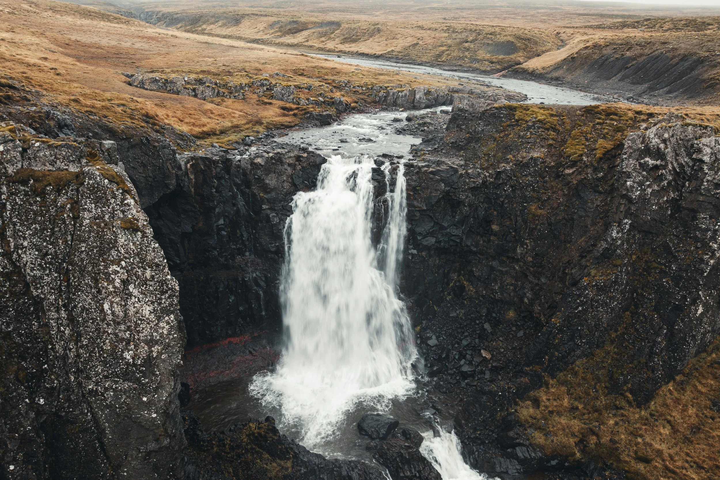 Island 2026-106.jpg