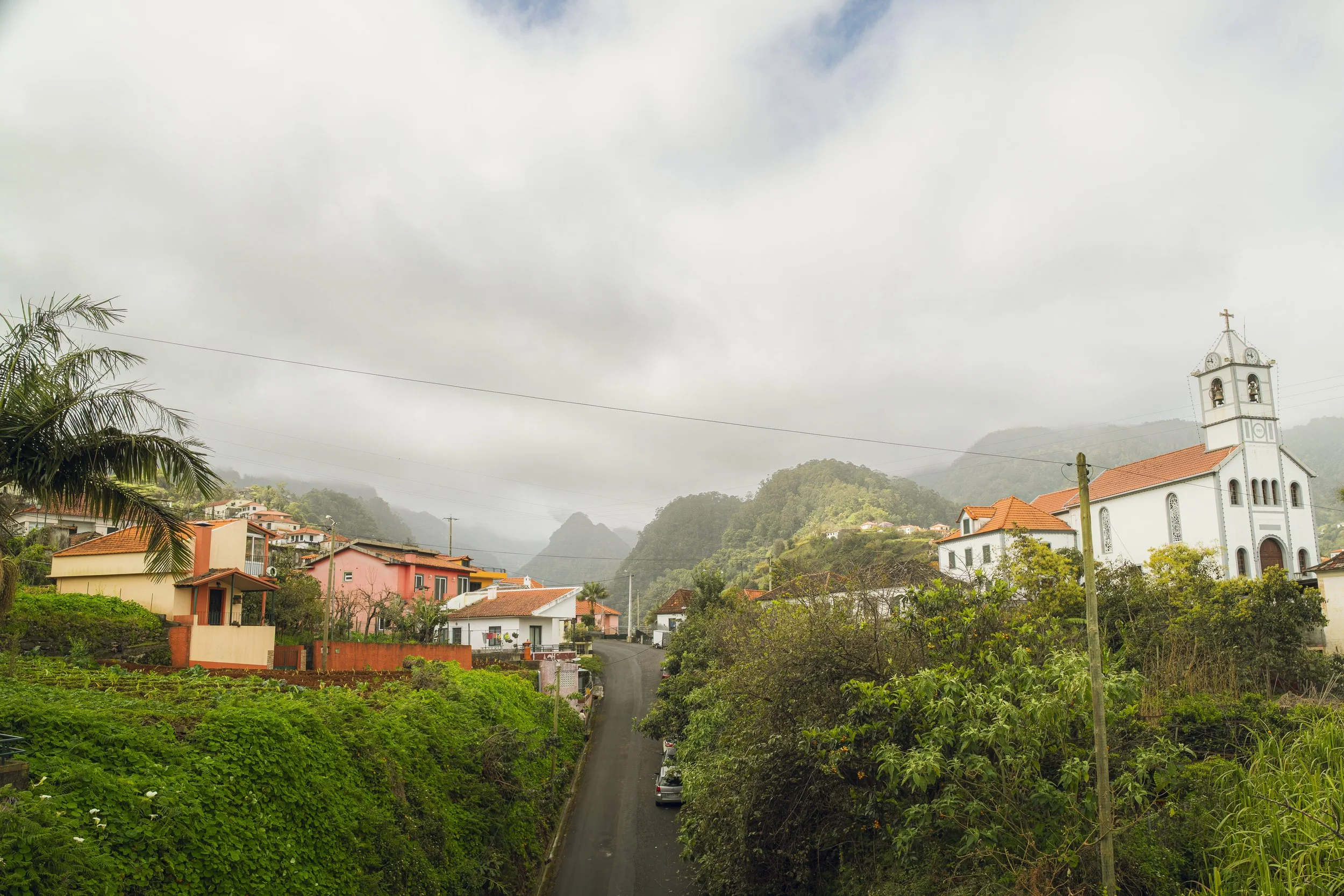 Madeira 2026-34.jpg
