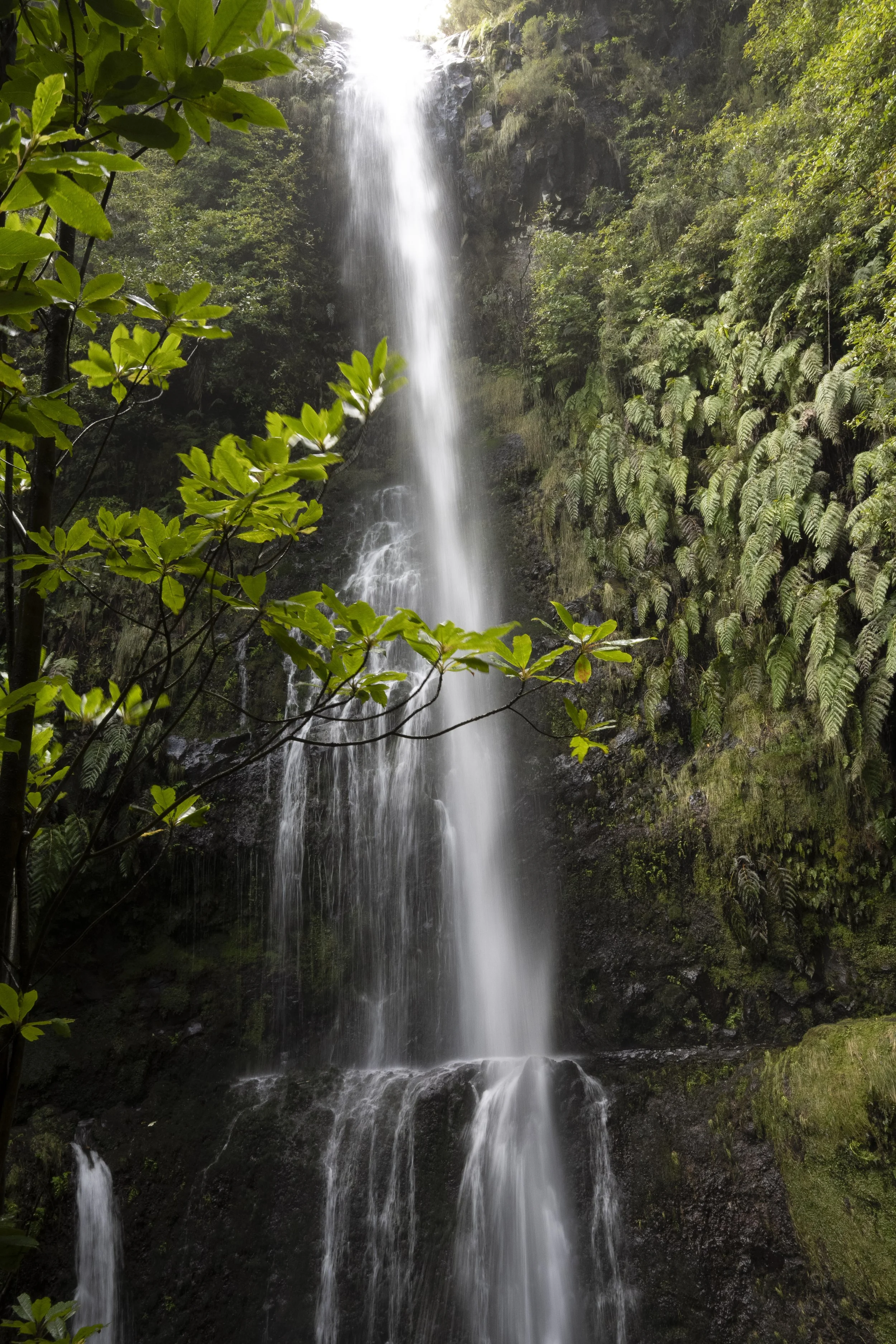 Madeira 2026-54.jpg