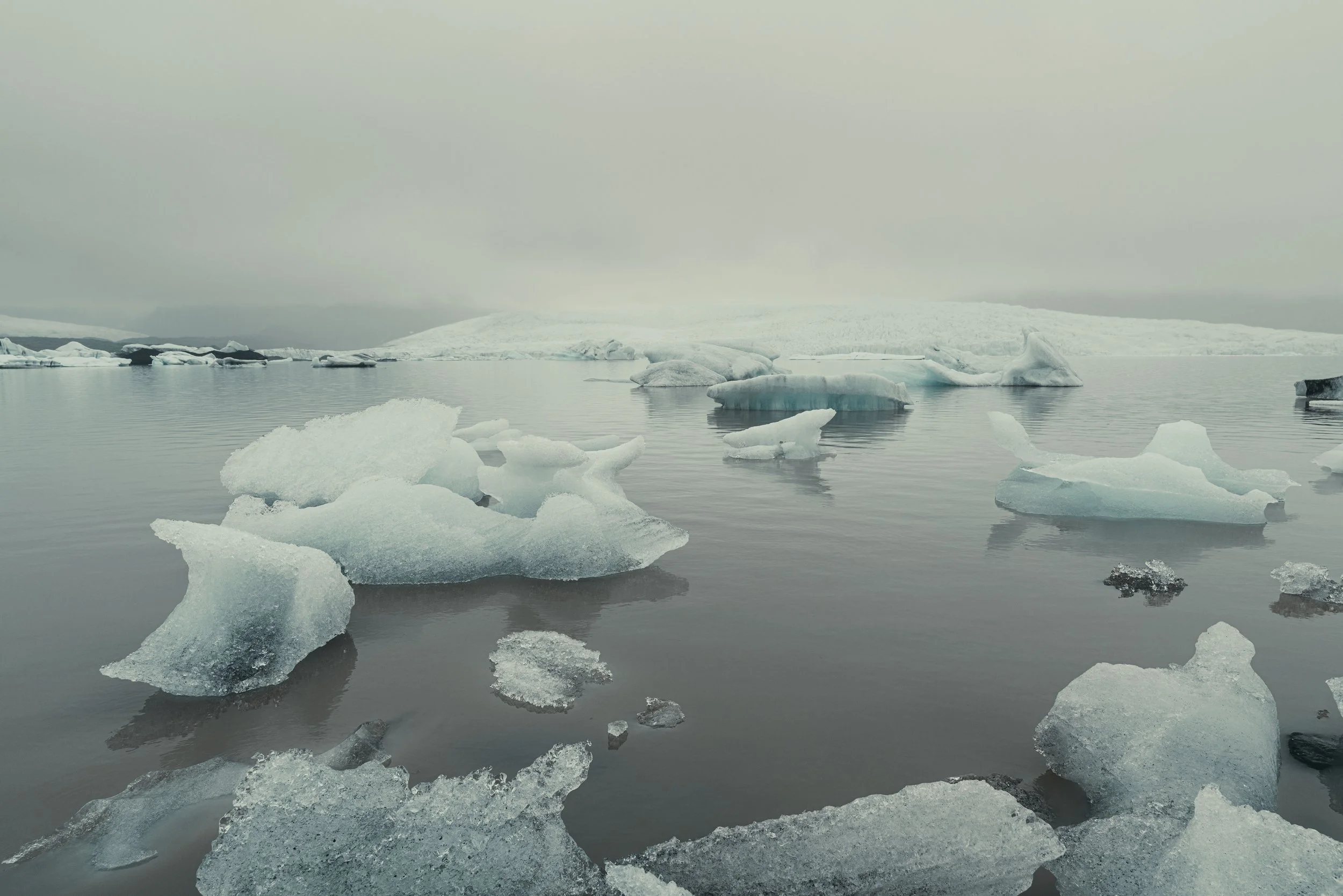 Island 2026-54.jpg