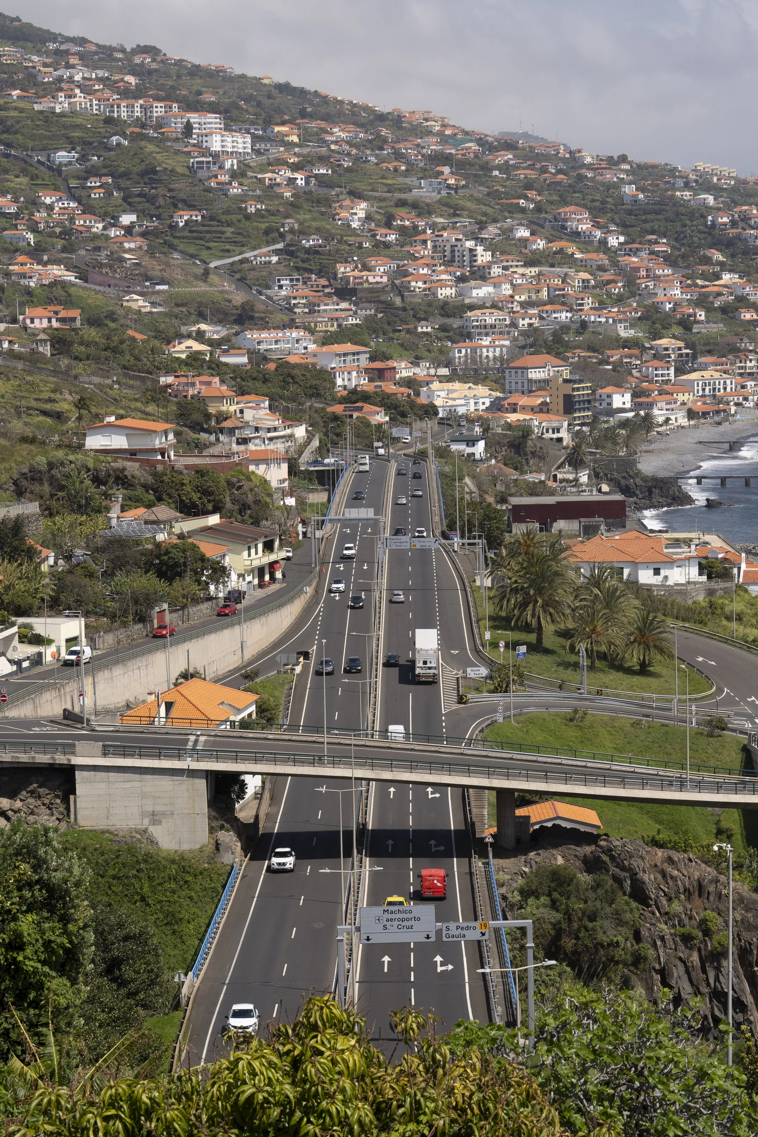 Madeira 2026-9.jpg