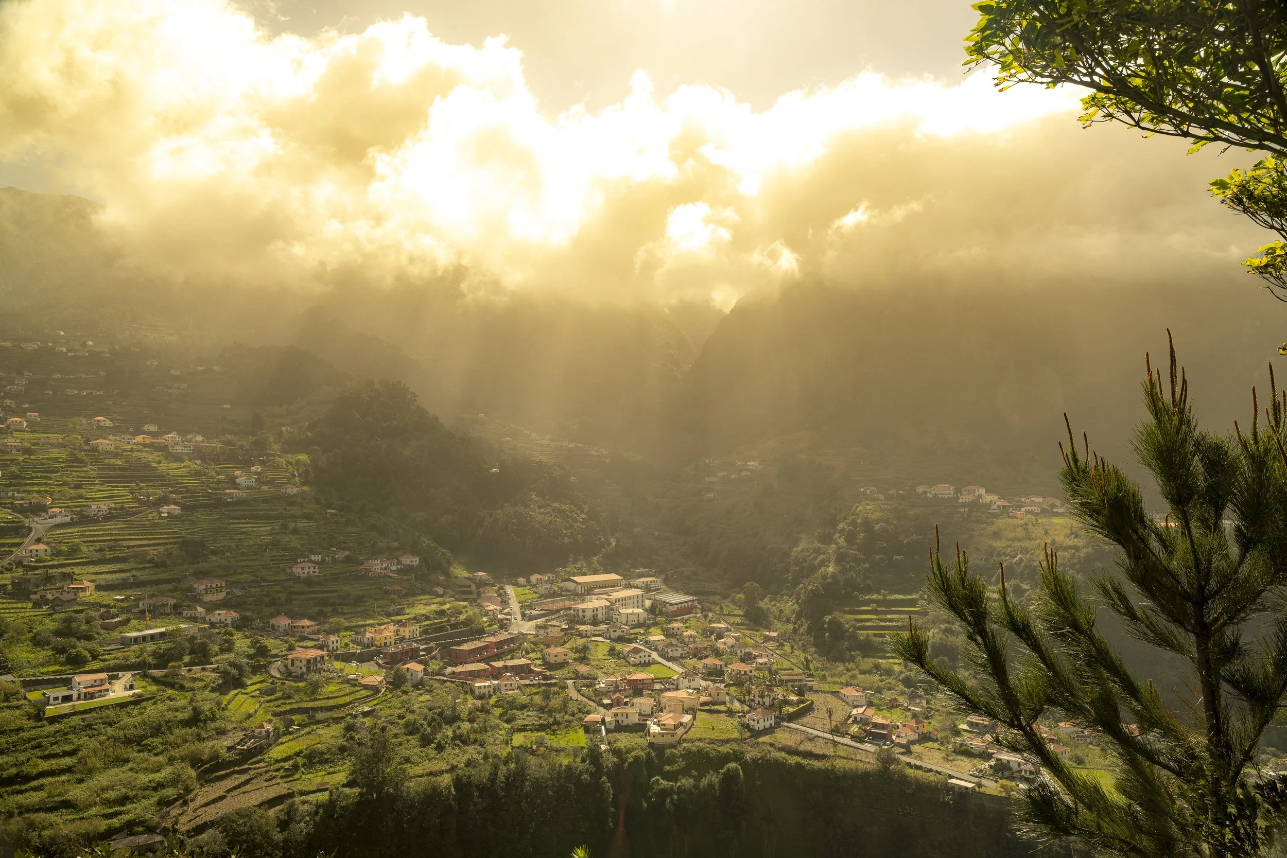 Madeira 2026-69.jpg
