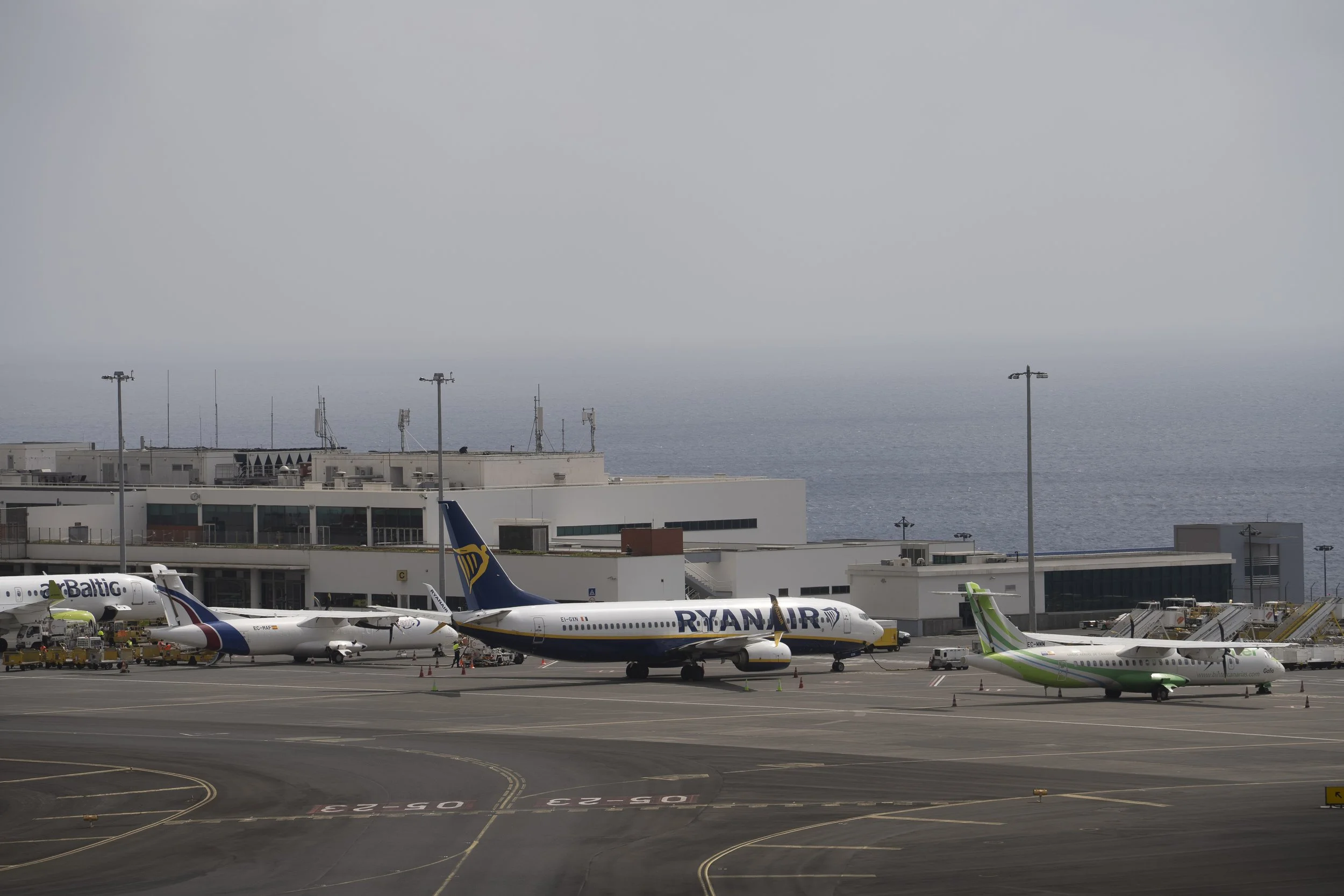 Madeira 2026-3.jpg