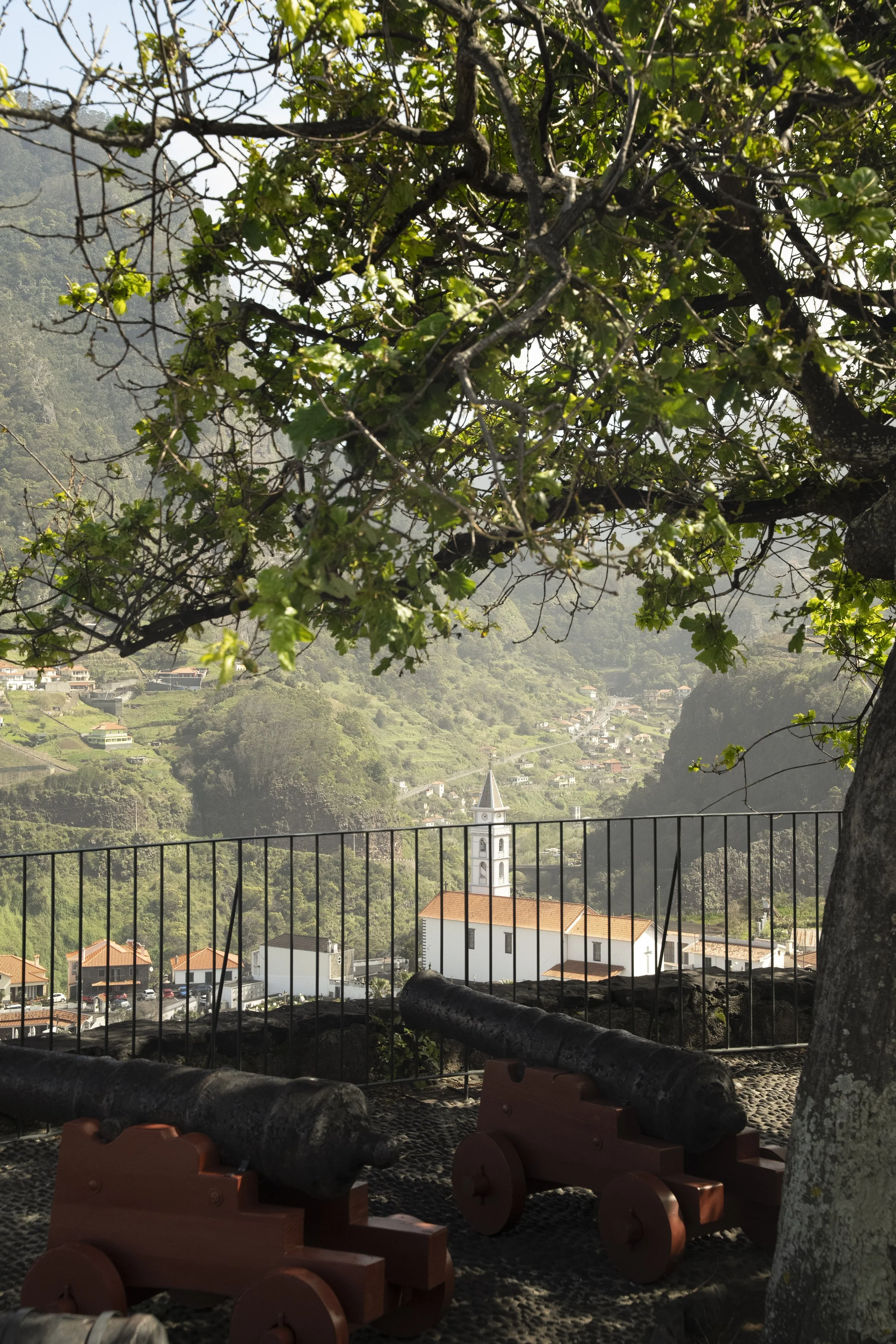 Madeira 2026-47.jpg