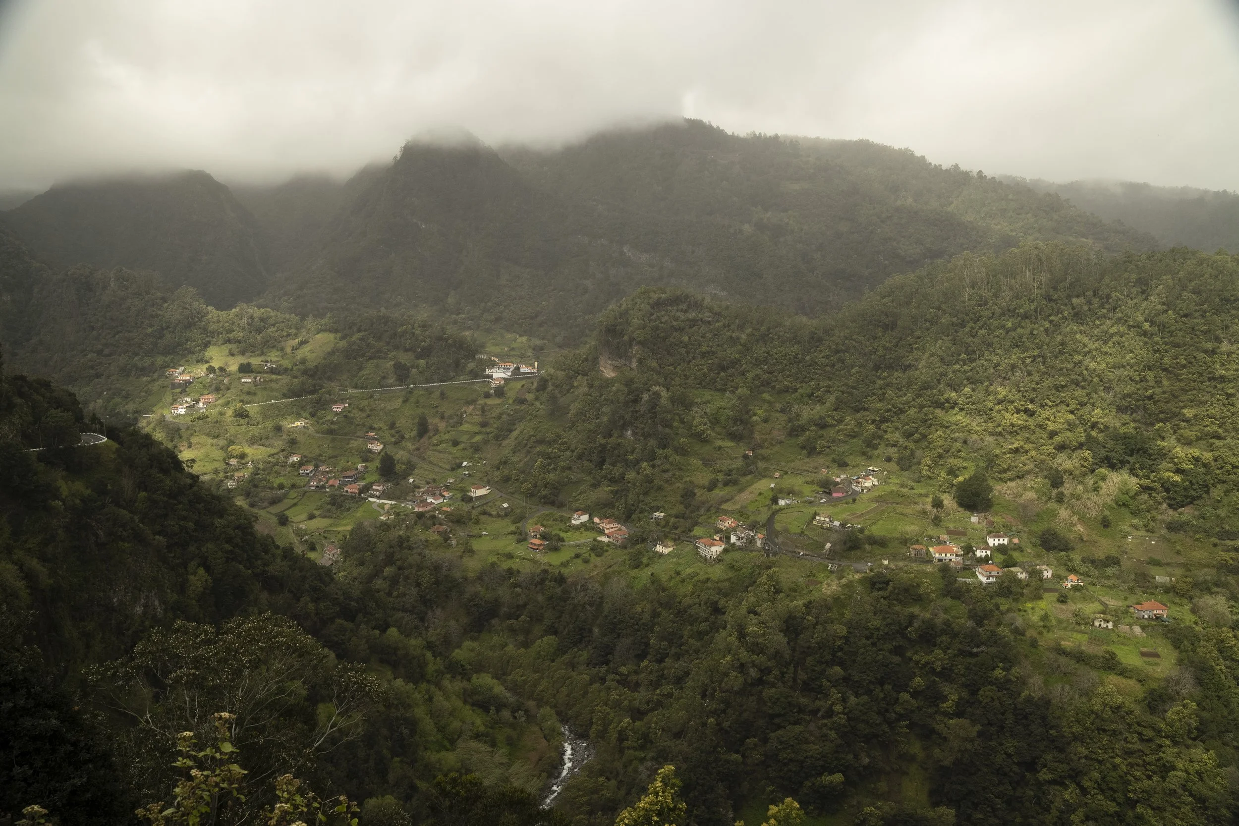 Madeira 2026-31.jpg