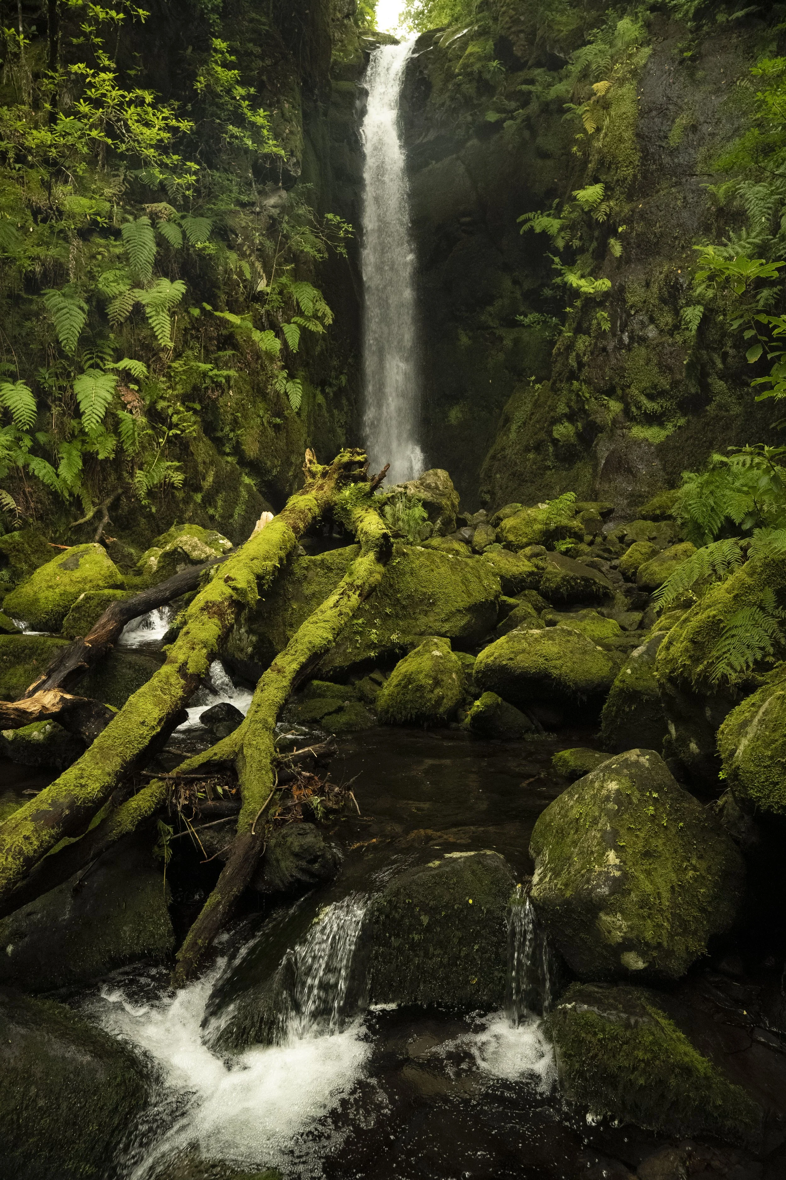 Madeira 2026-65.jpg