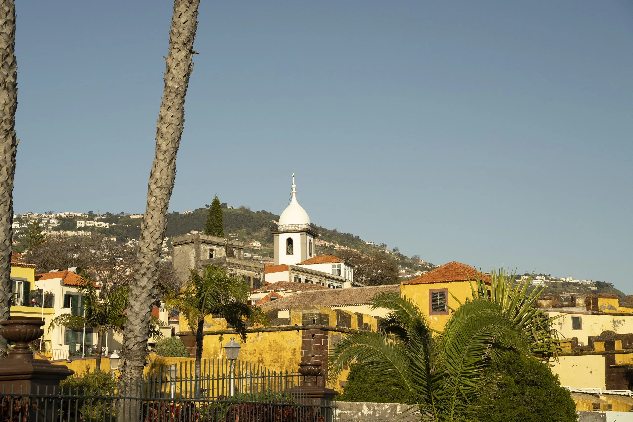 Madeira 2026-18.jpg