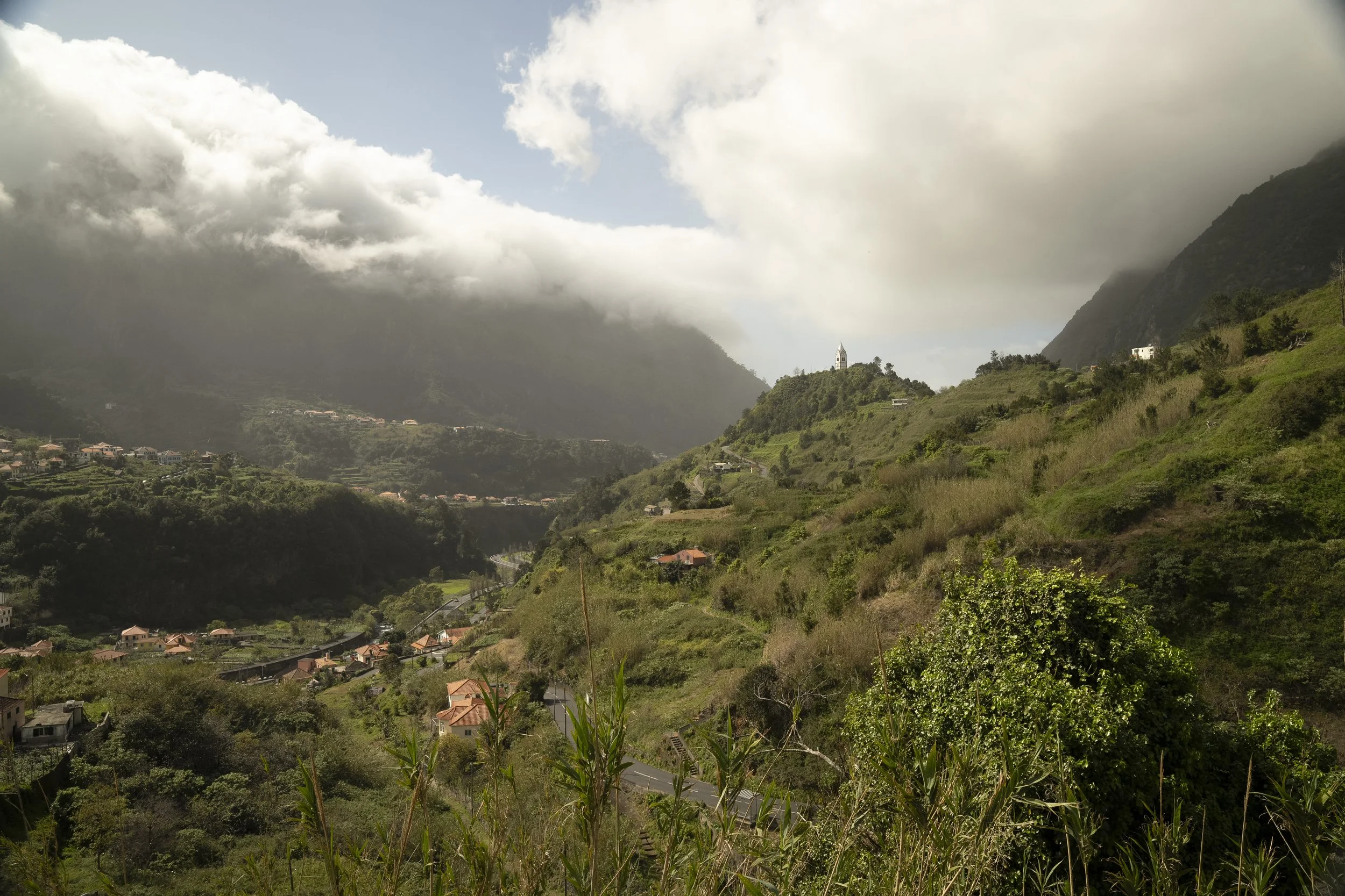 Madeira 2026-66.jpg